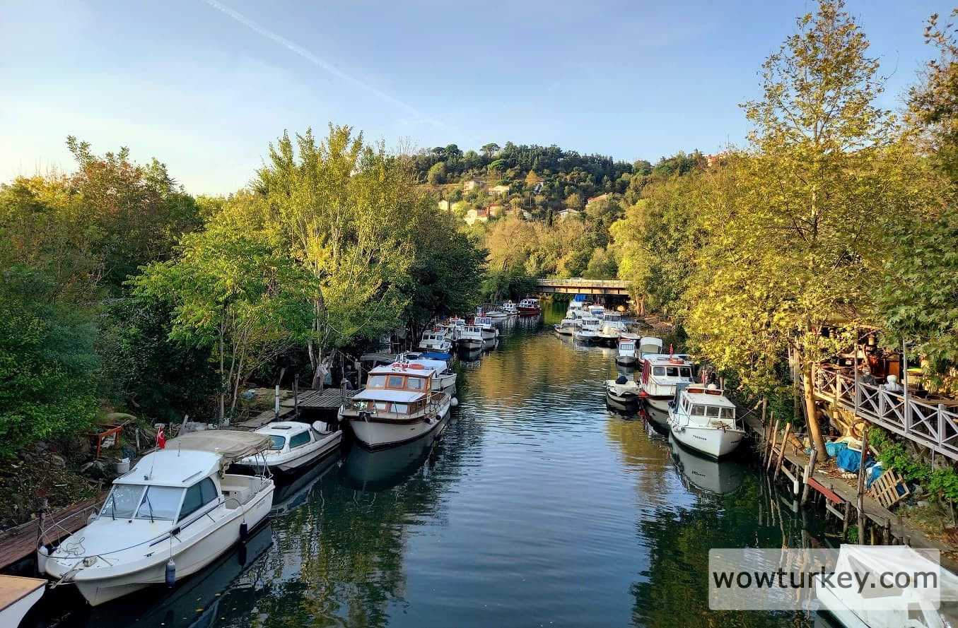 IMG_20211107_230131_851