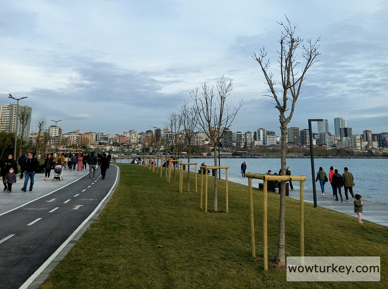 IMG_20220114_233207_636