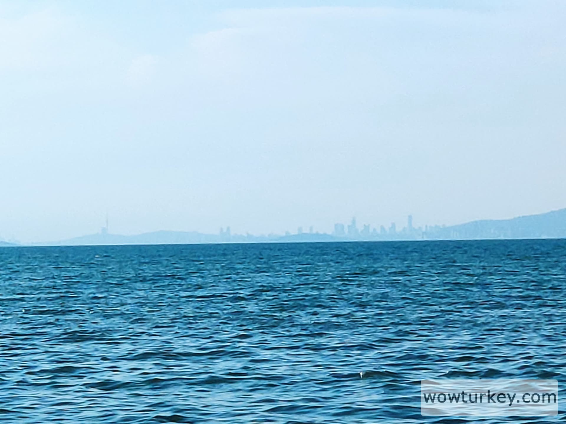 IMG_20220626_185309_1