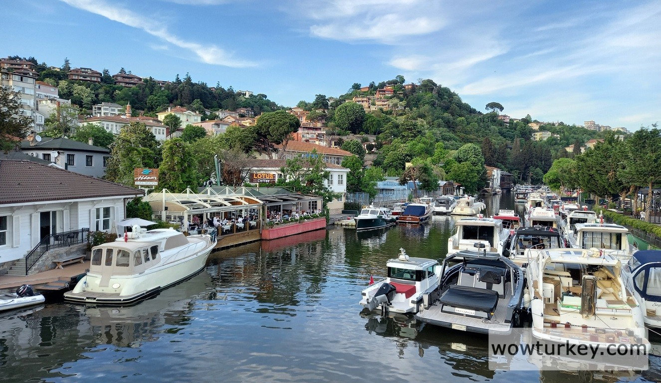 IMG_20220807_000245_478 (1)