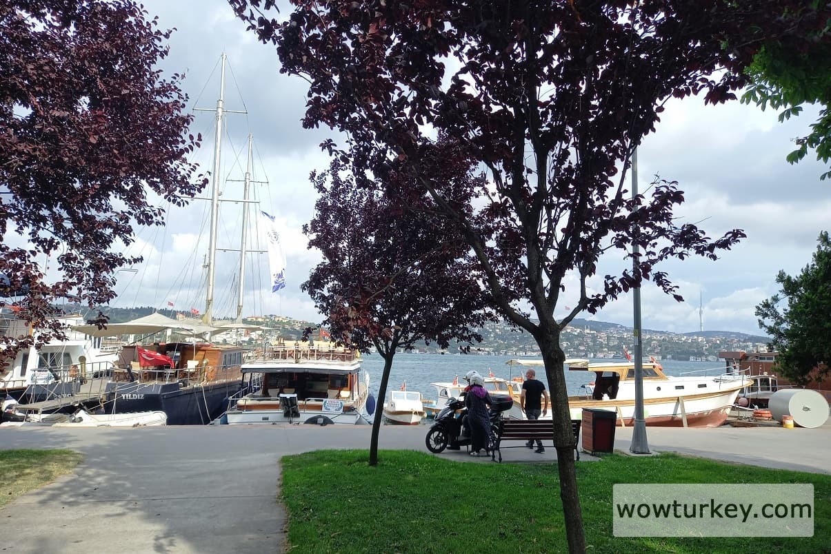 IMG_20220814_232818_197