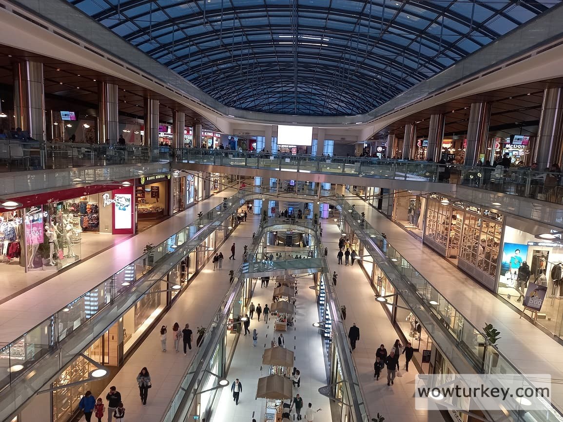 IMG_20221008_233756_270