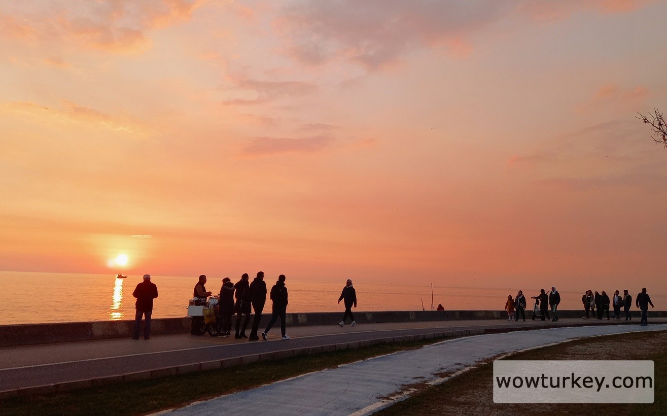 IMG_20230108_231001_272