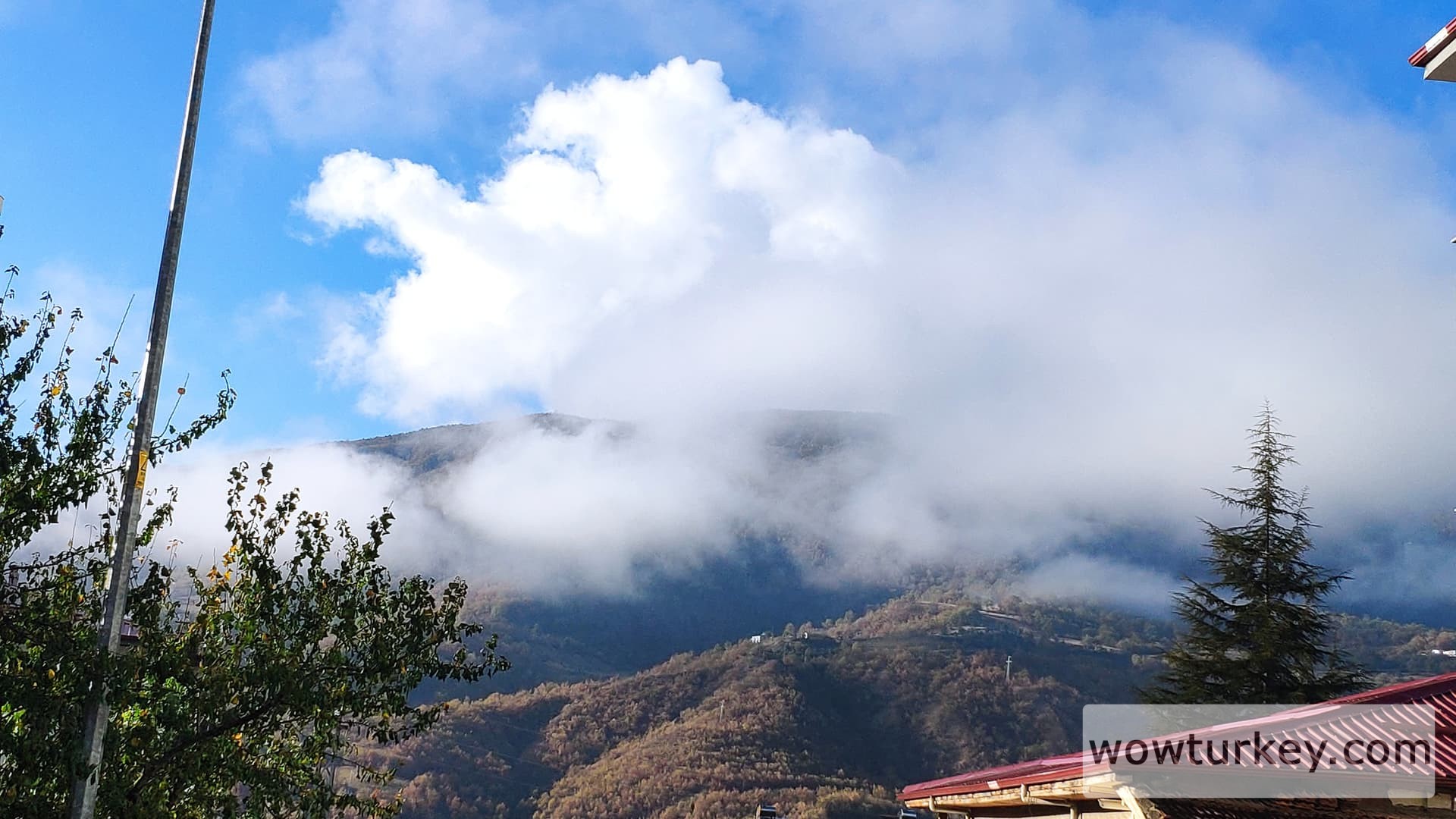 IMG_20231117_090107_1