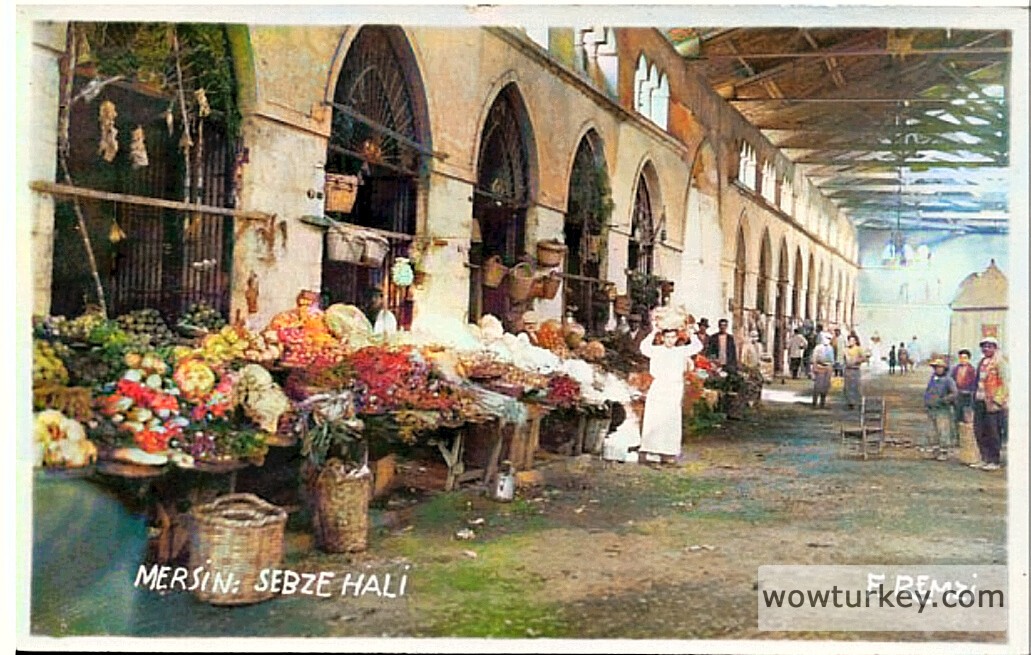 IMG_20240130_230542-colorized