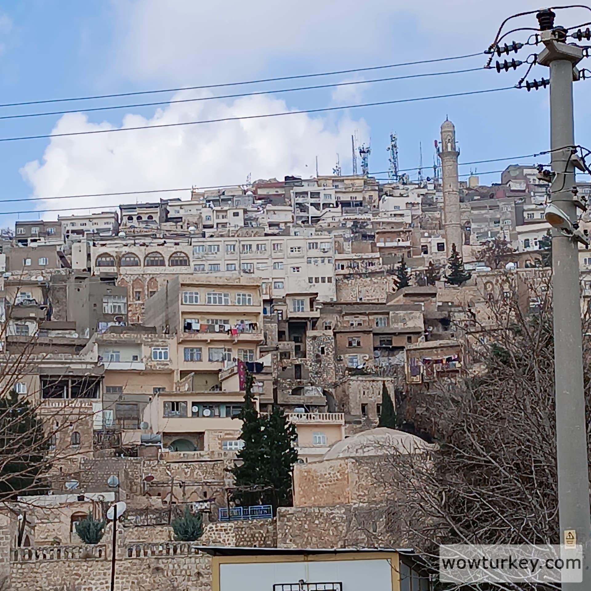 IMG_20240203_131548_1