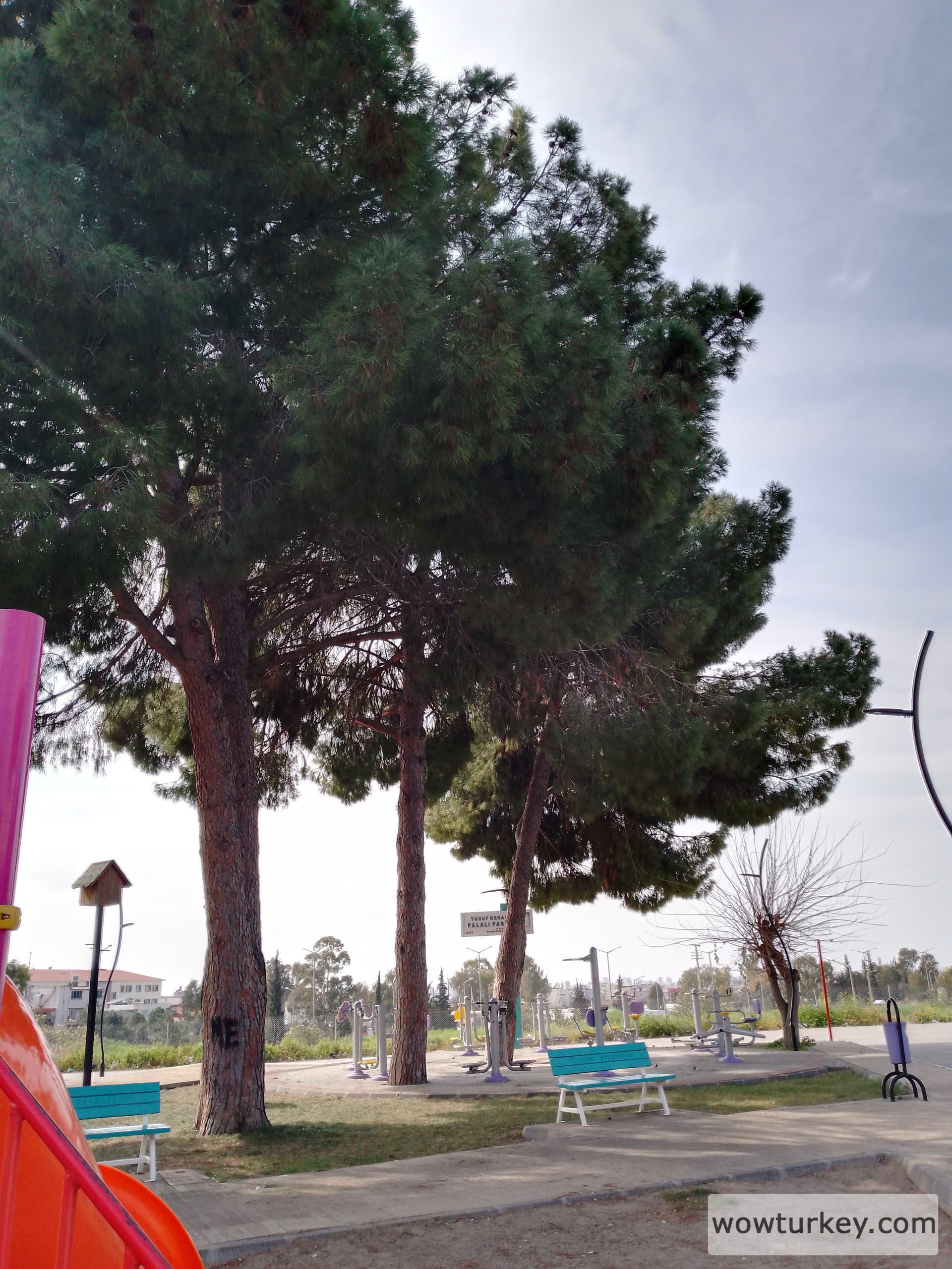 IMG_20240227_115359_659