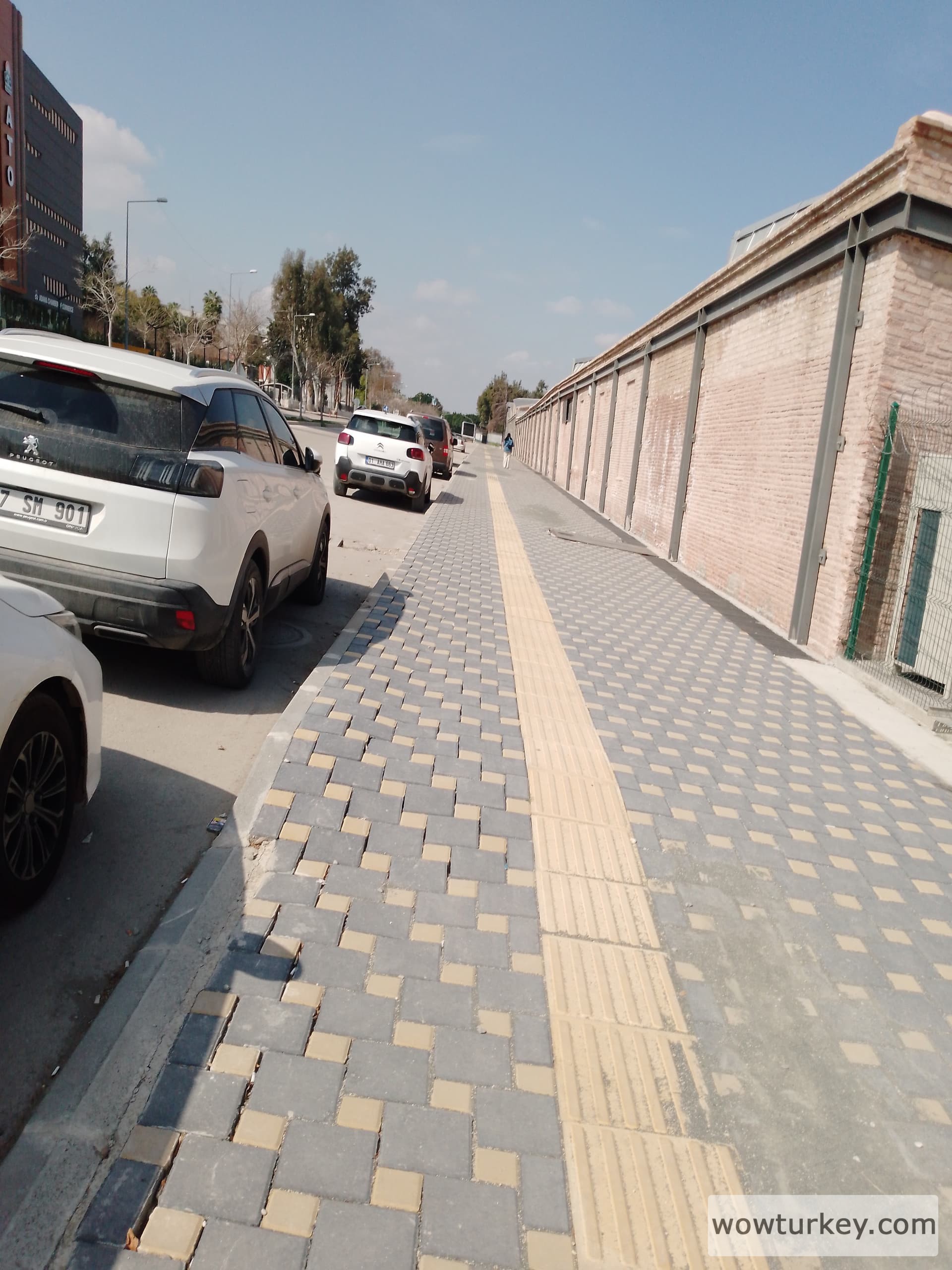 IMG_20240305_120340_564