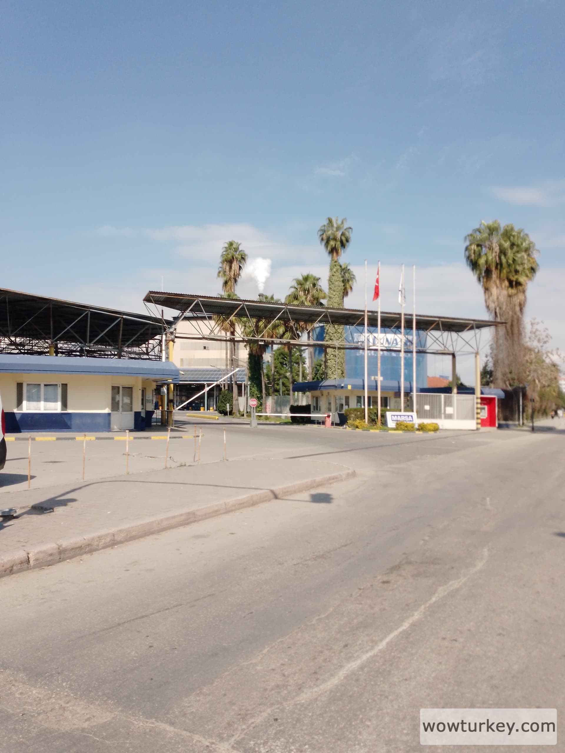 IMG_20240305_121002_354