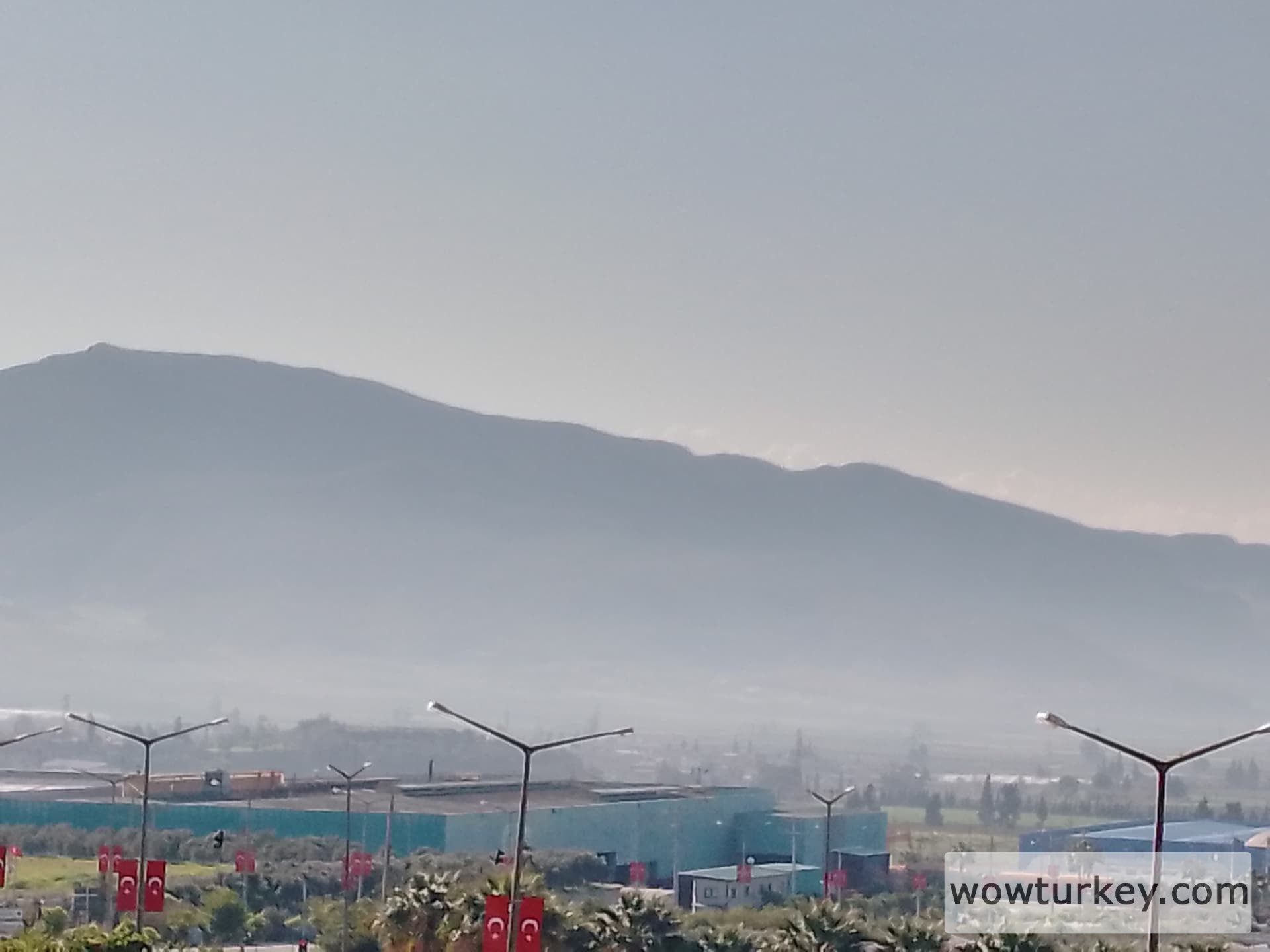 IMG_20240308_093236_747