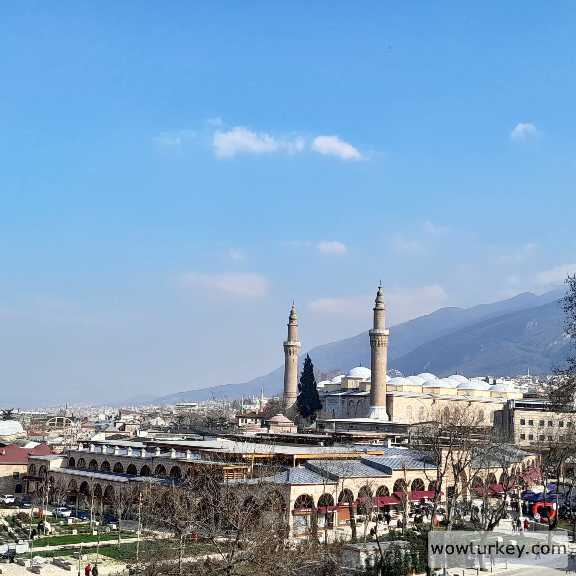 IMG_20240309_082014_393