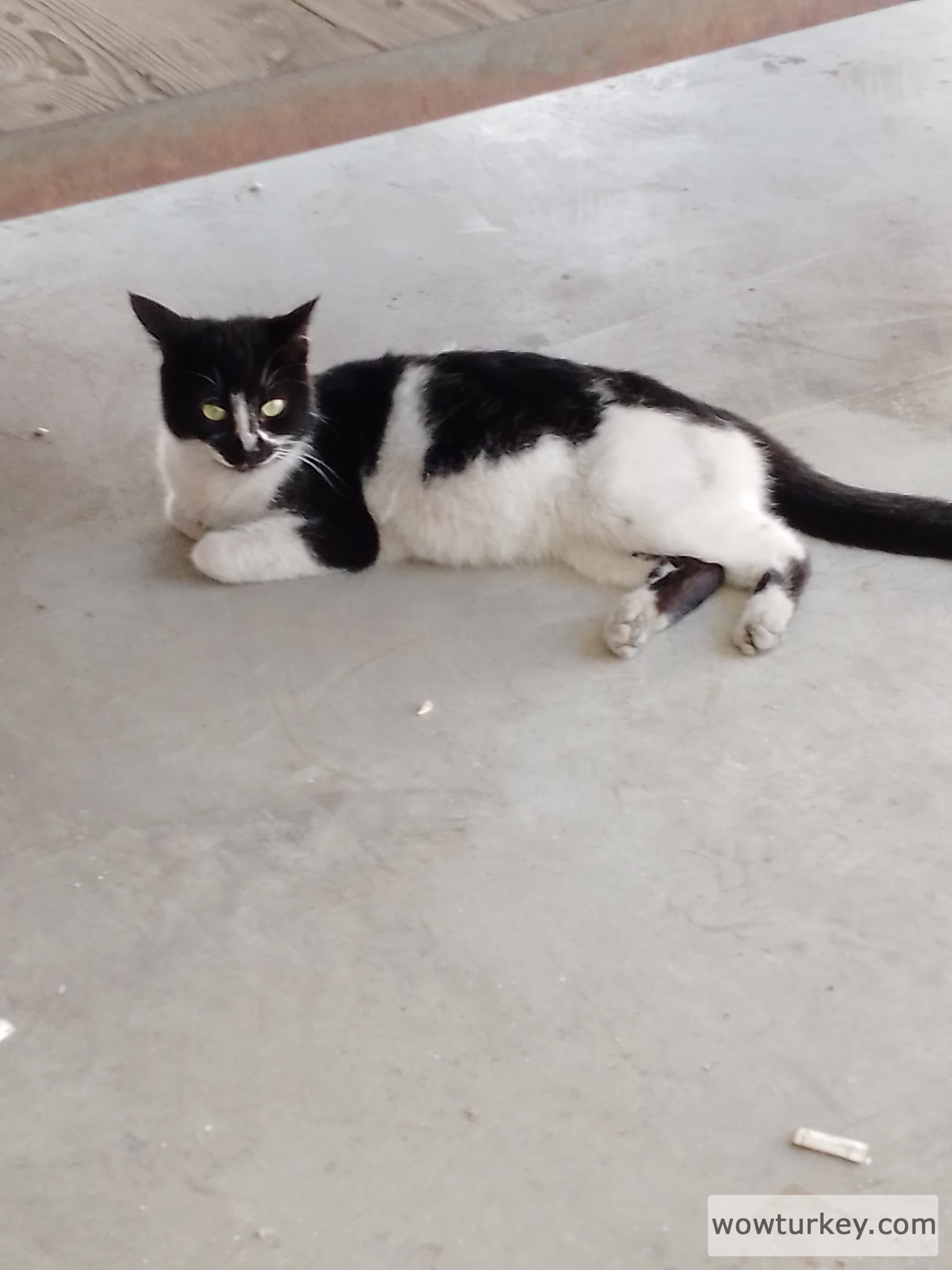 IMG_20240310_120535_956