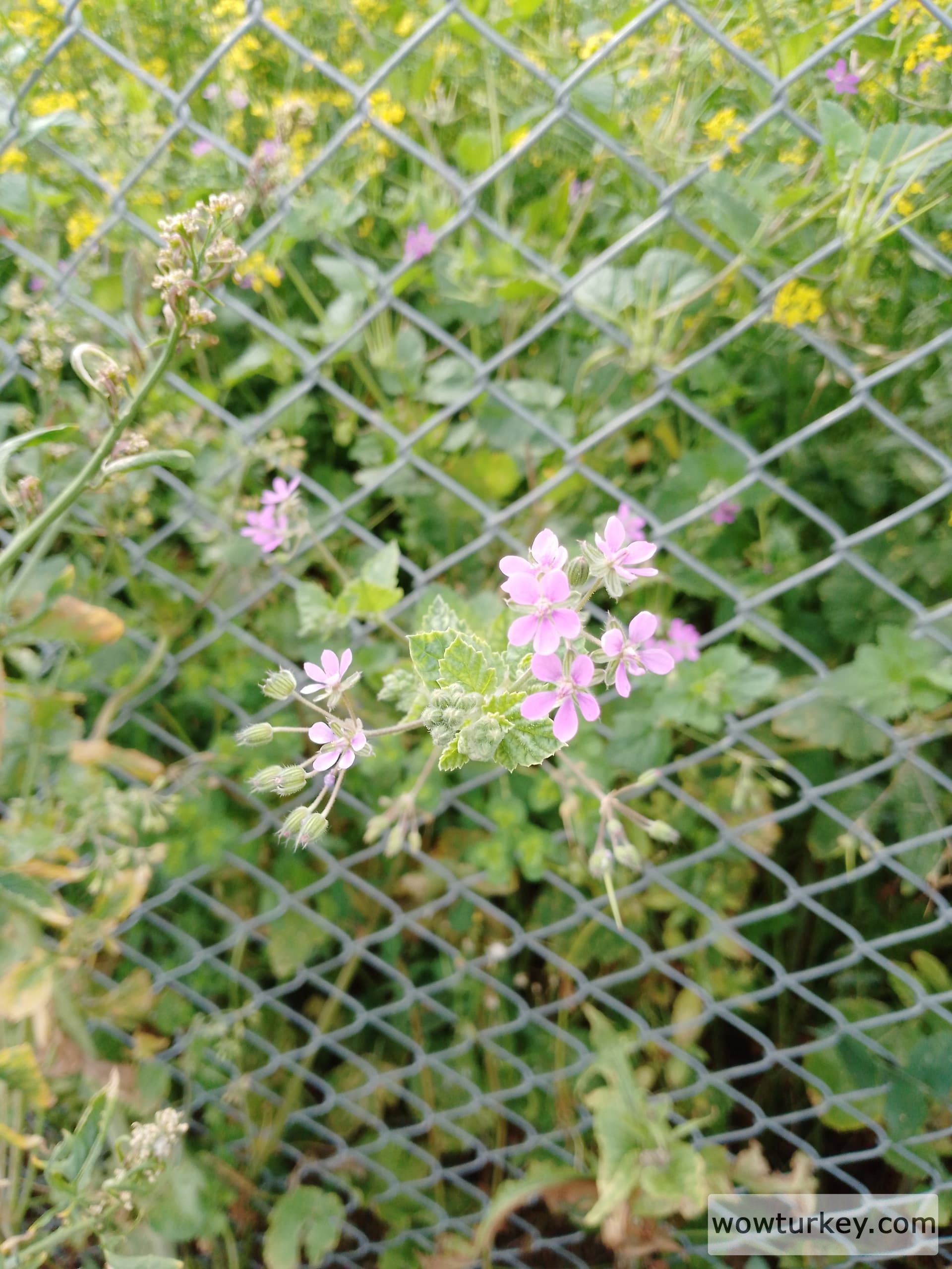 IMG_20240313_102522_149