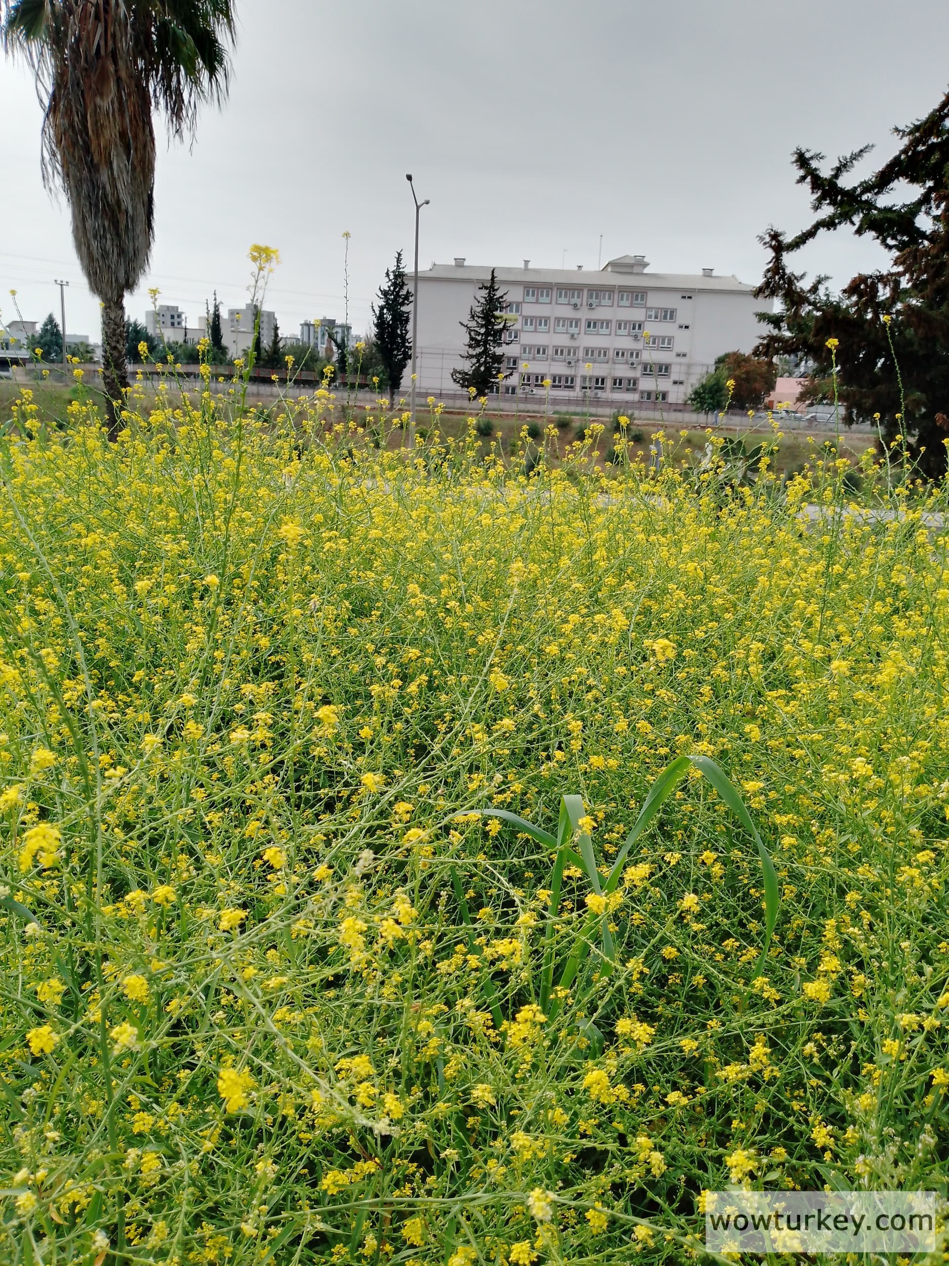 IMG_20240313_102535_800