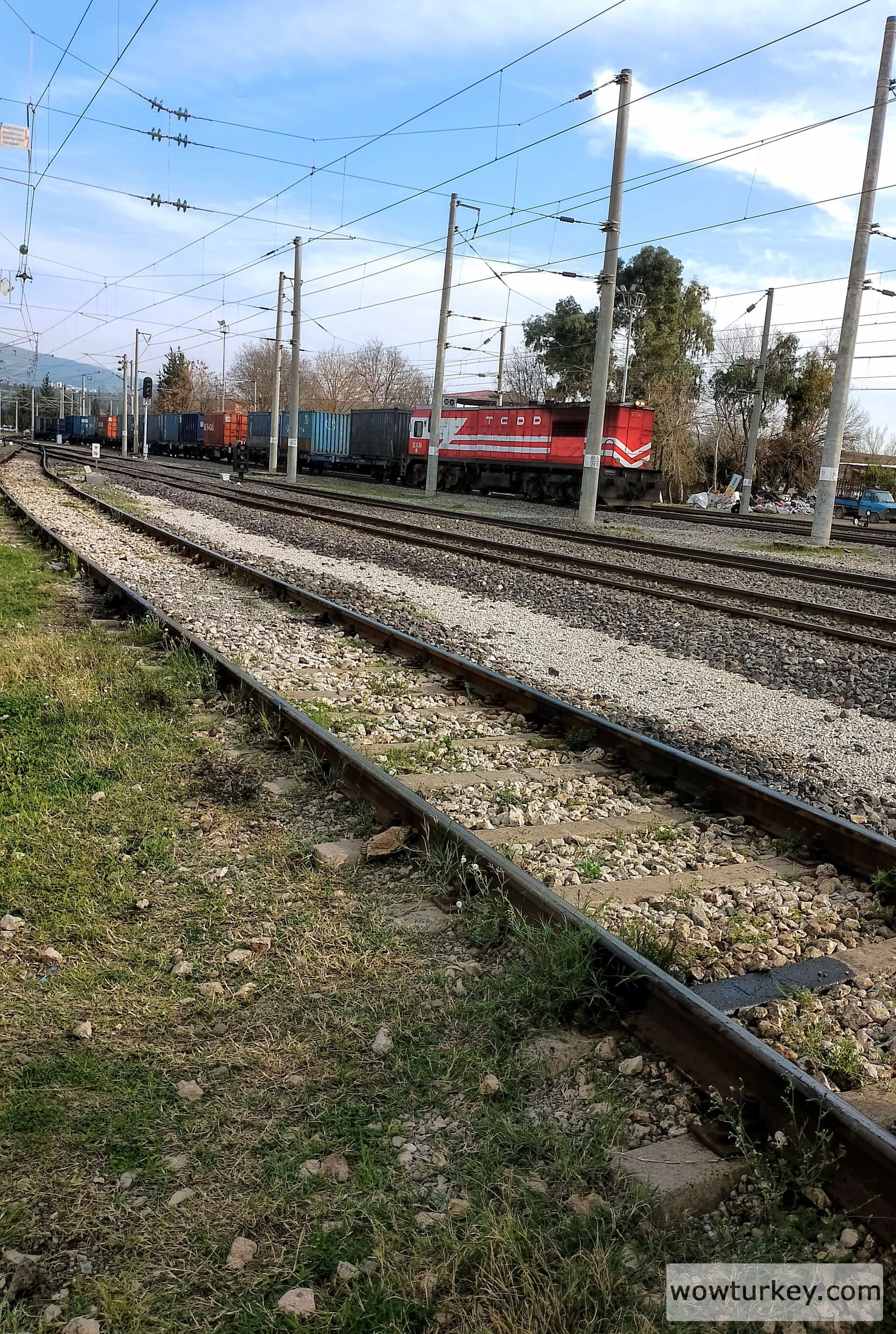 IMG_20240313_162415~3