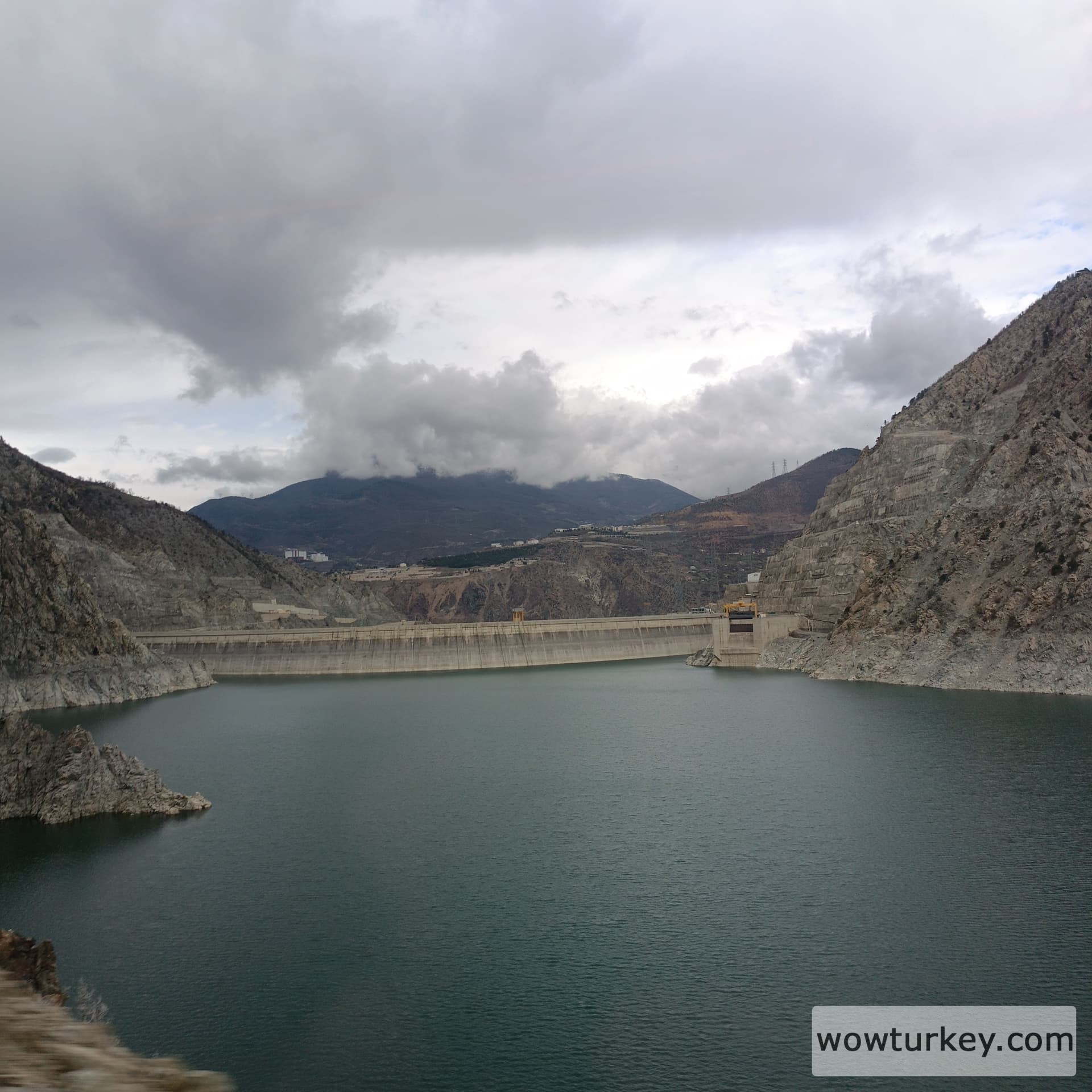 IMG_20240317_122834_1