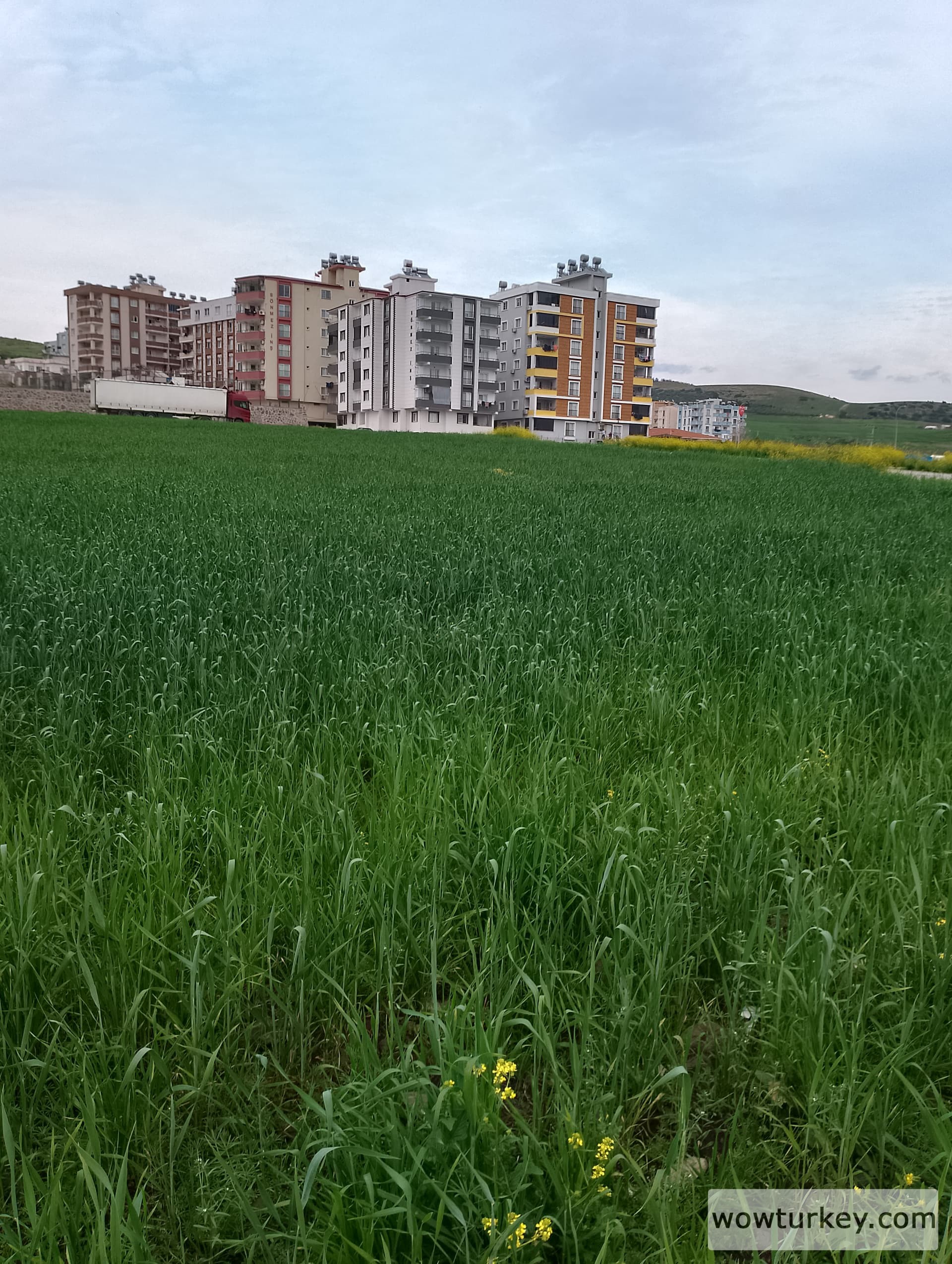 IMG_20240317_171928_HDR