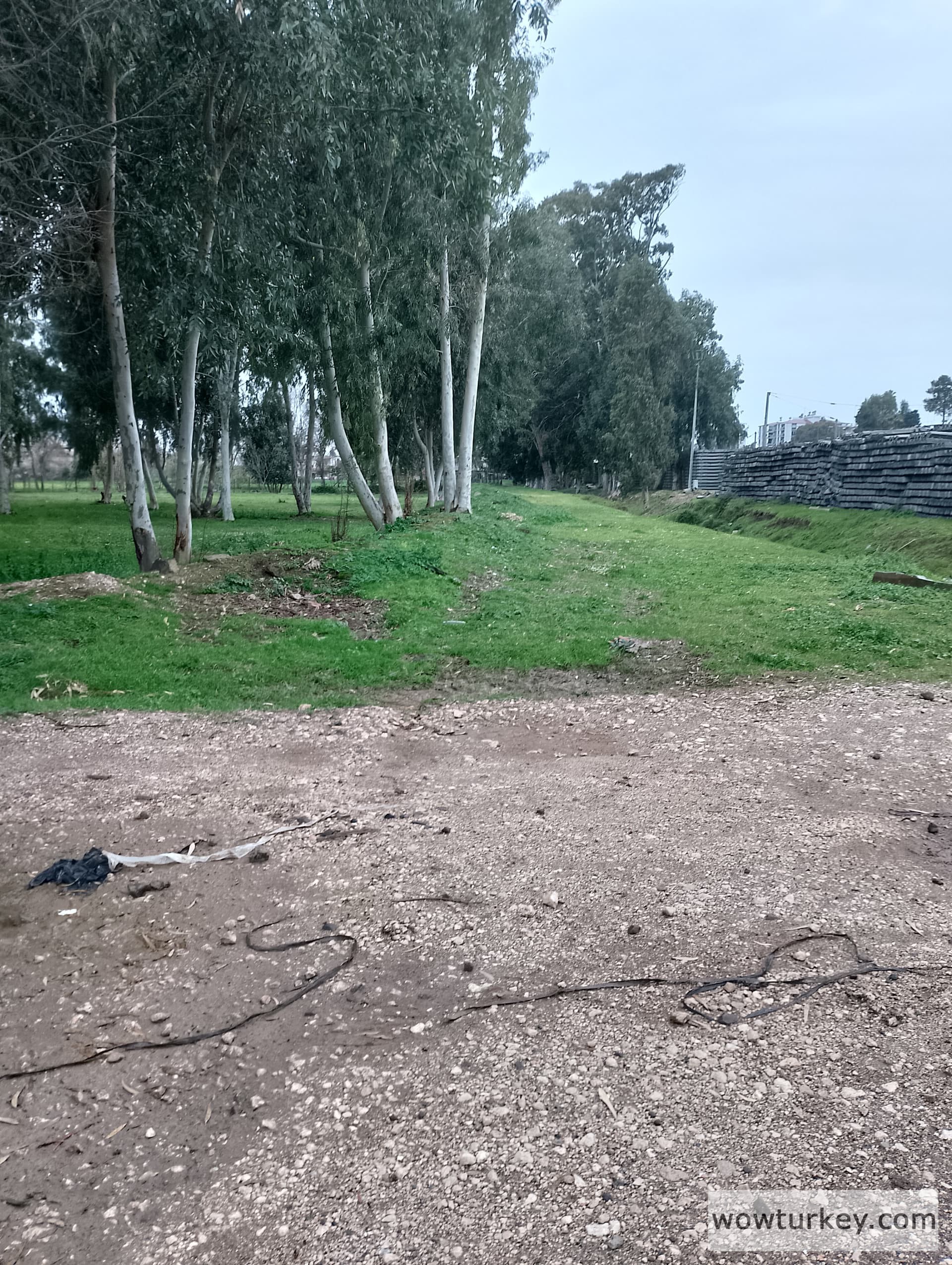 IMG_20240318_154517_HDR