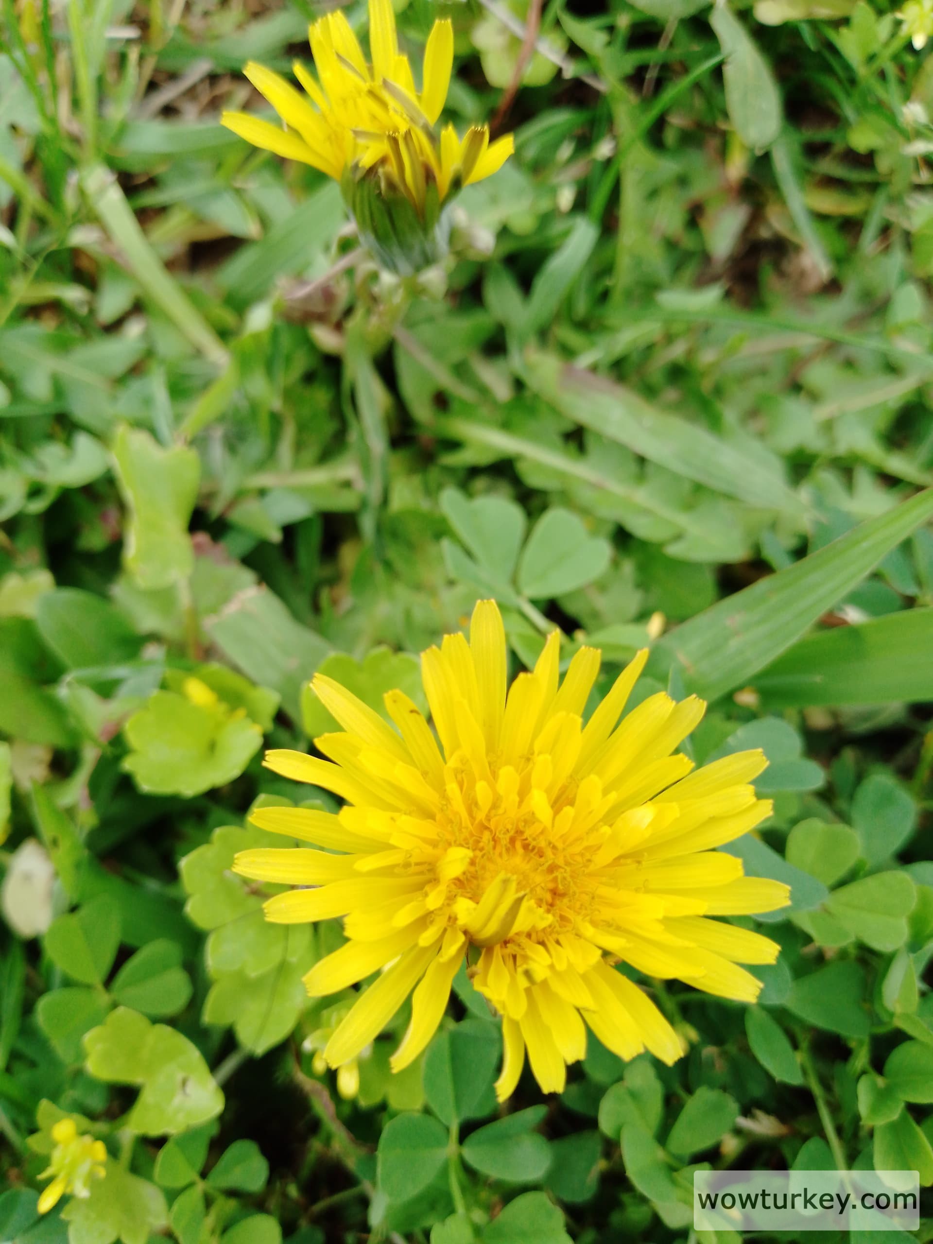 IMG_20240320_150927_573