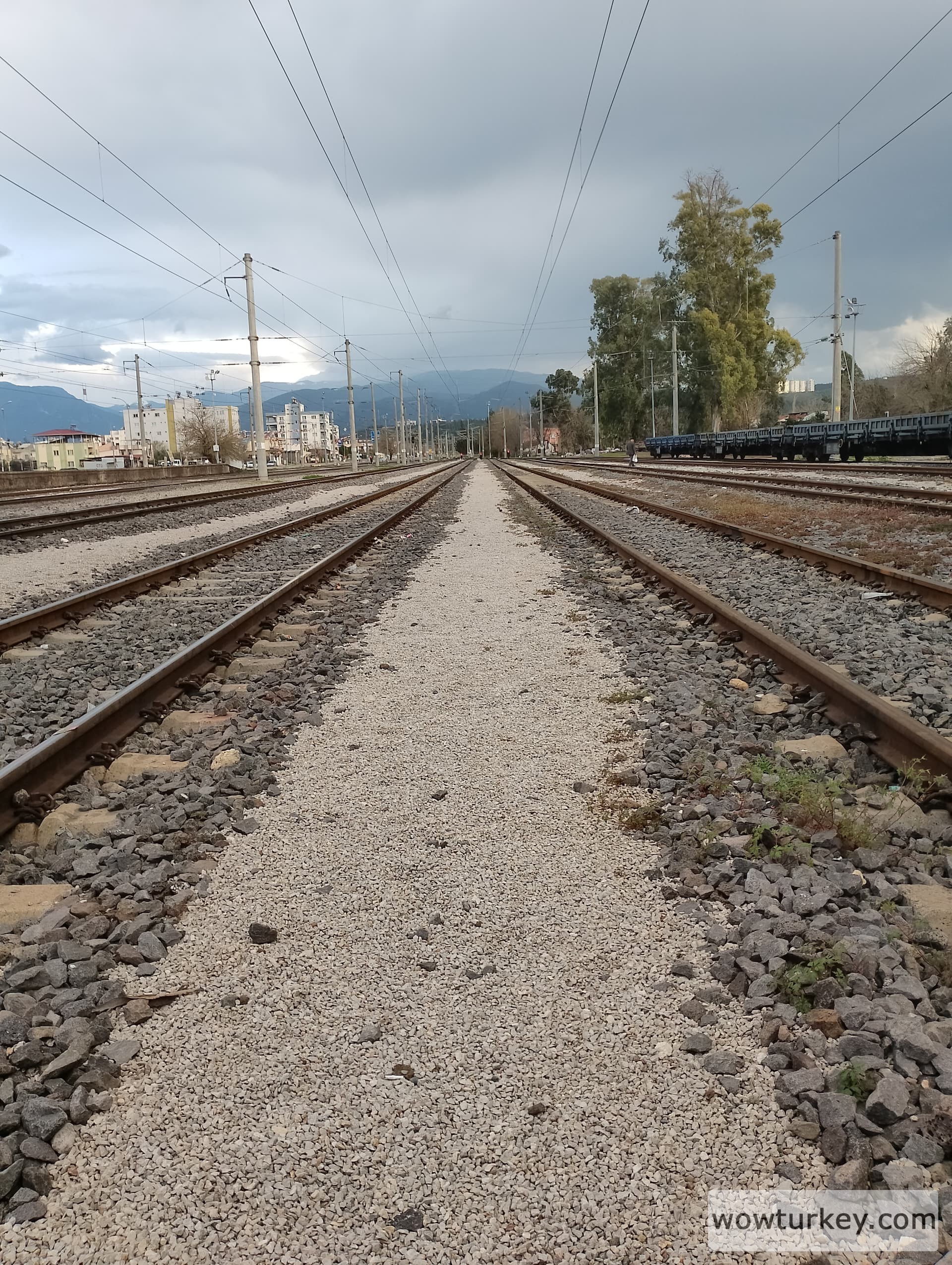 IMG_20240320_173515_HDR