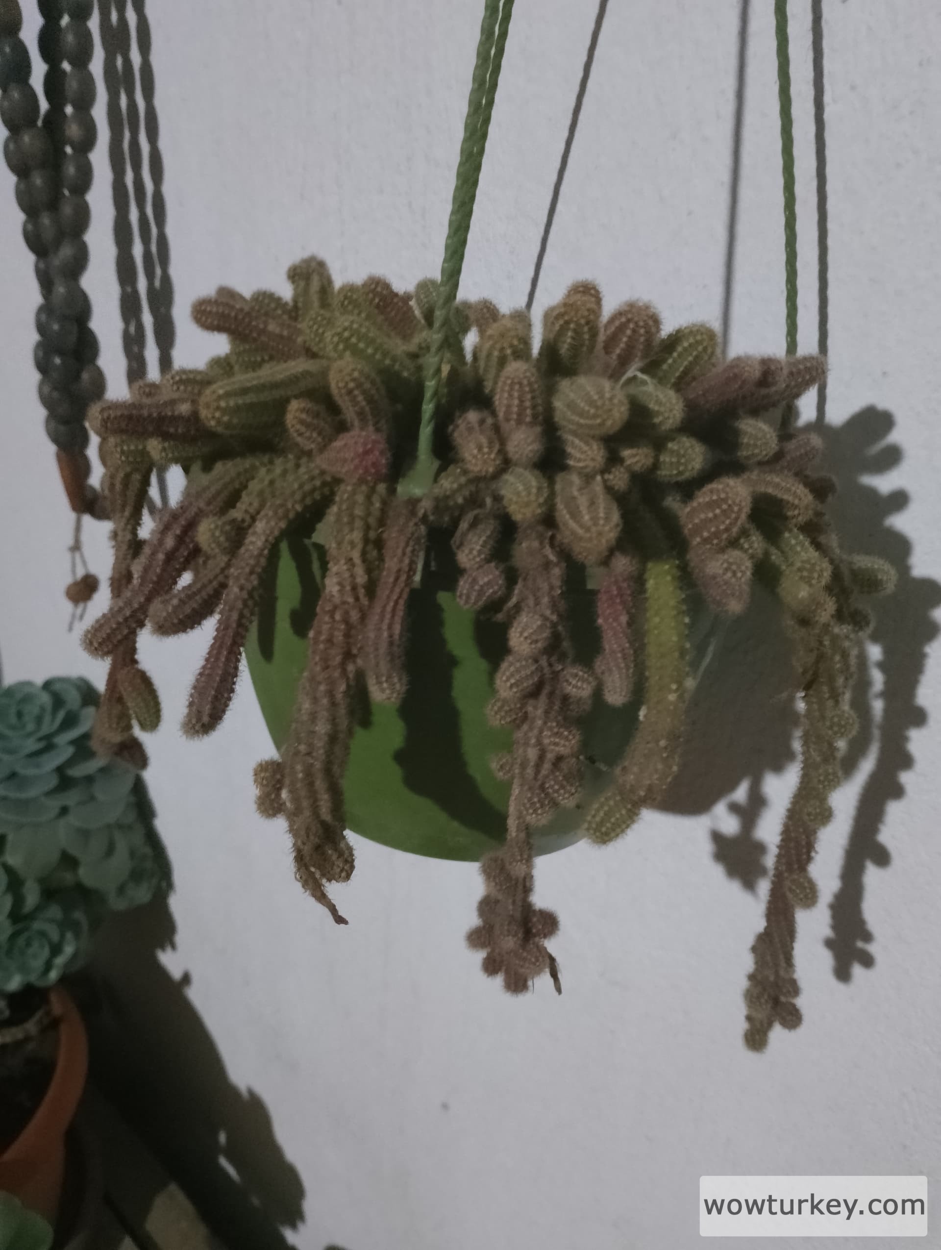 IMG_20240320_221630_HDR