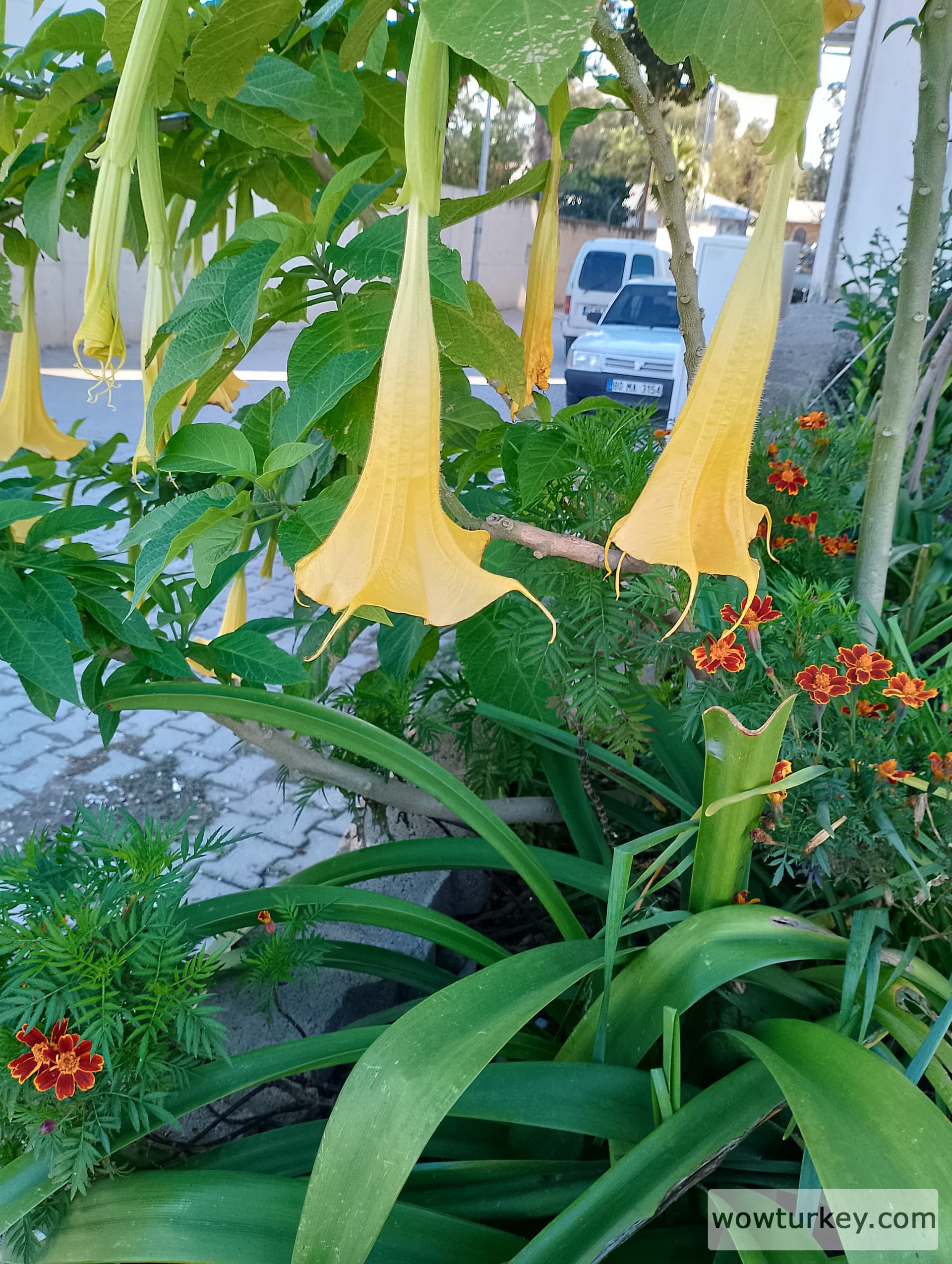 IMG_20240322_163056_HDR