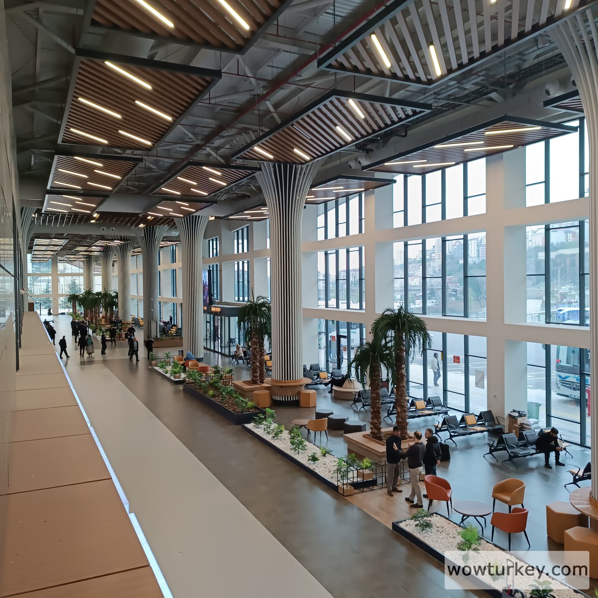 IMG_20240323_165150_1