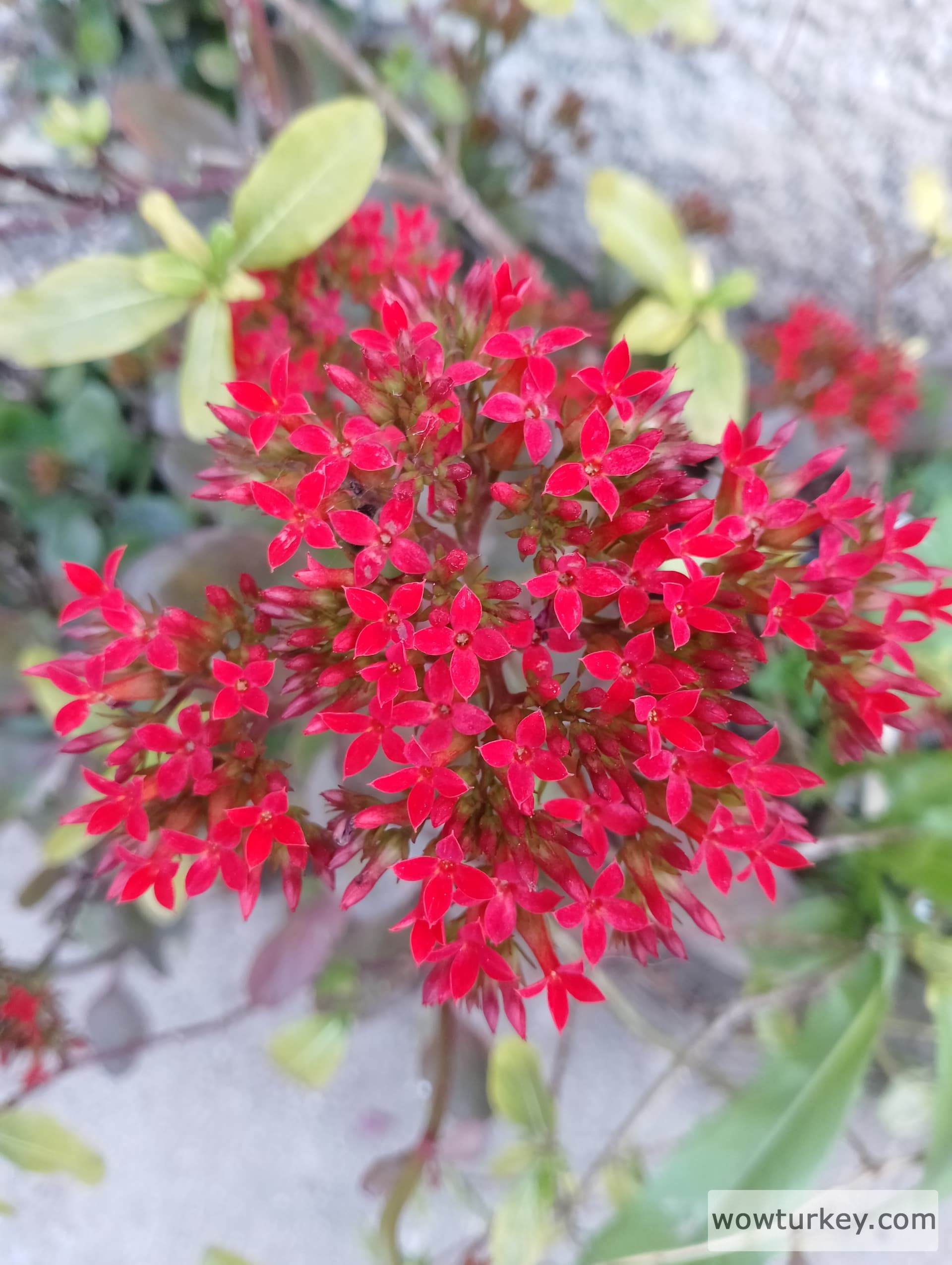 IMG_20240323_175843_HDR