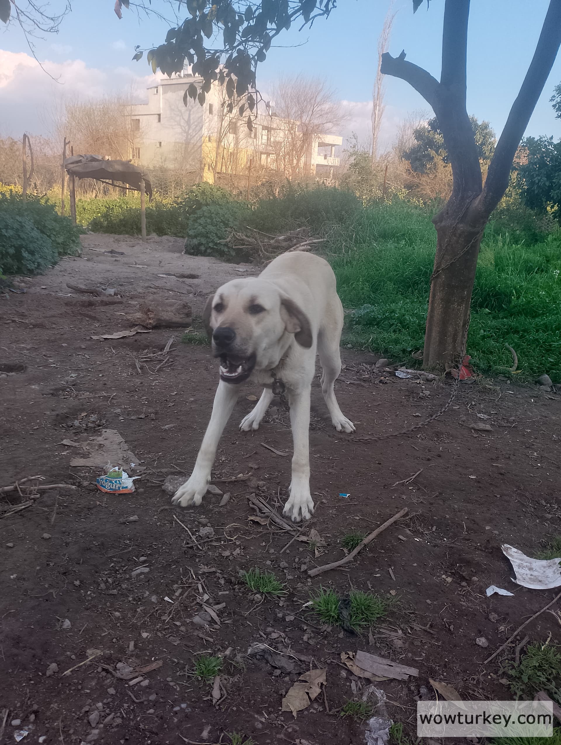 IMG_20240324_174758_HDR