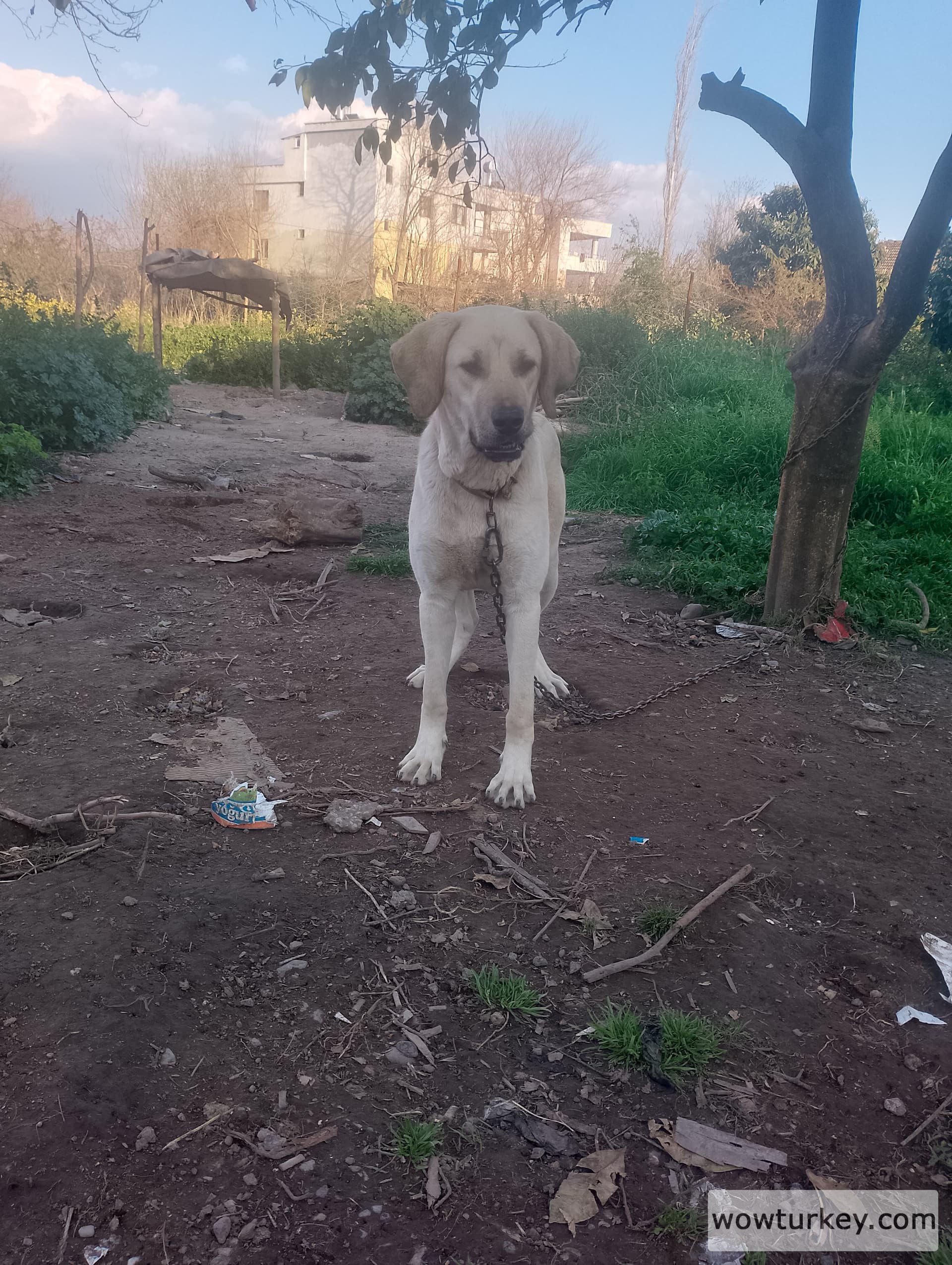 IMG_20240324_174803_HDR