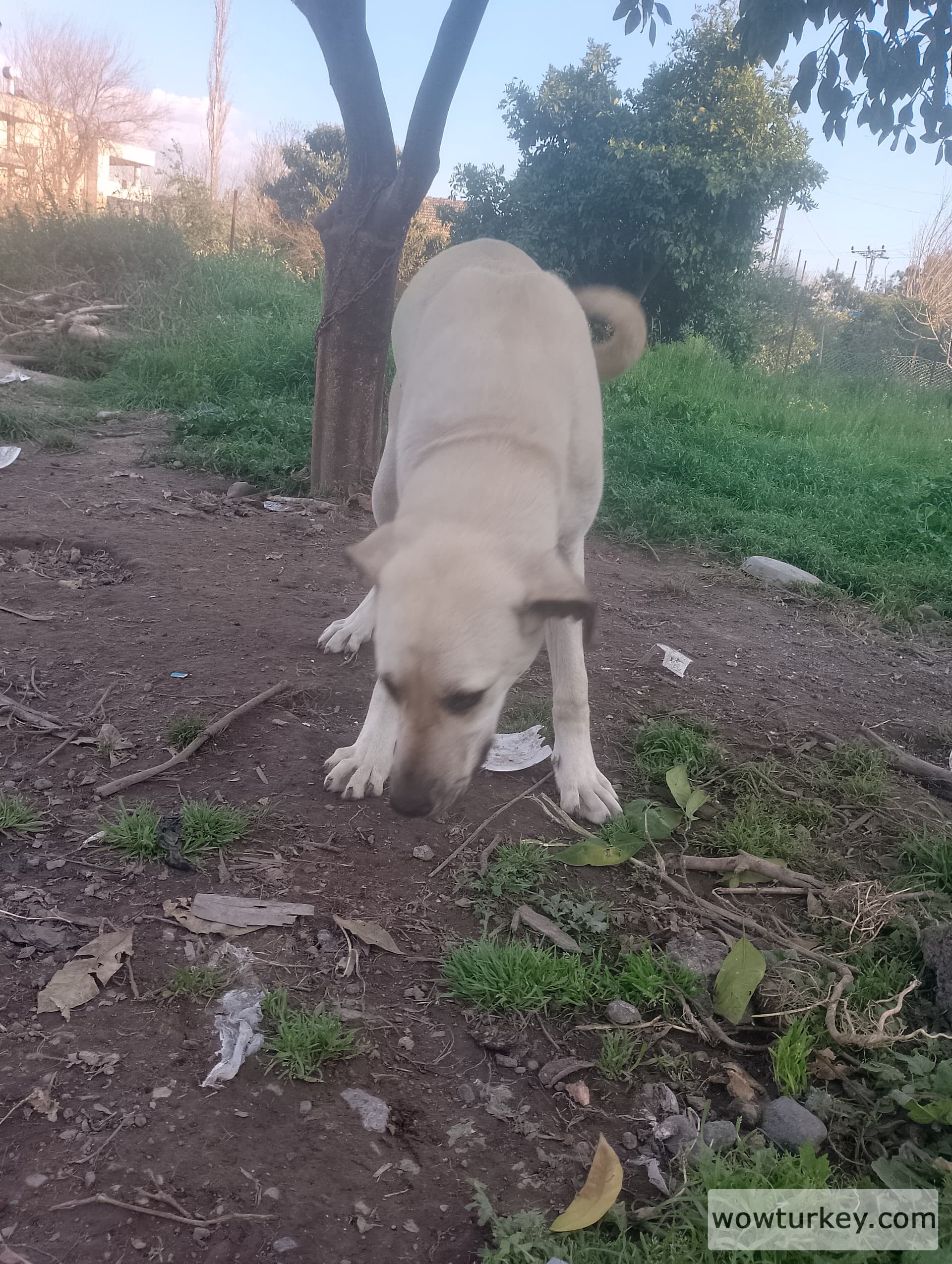 IMG_20240324_174808_HDR