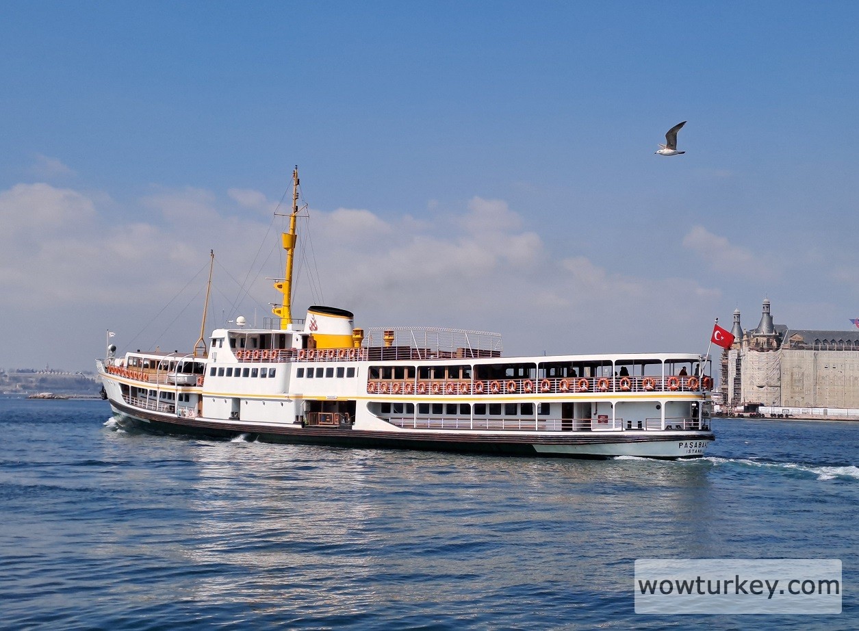 IMG_20240330_233828_481