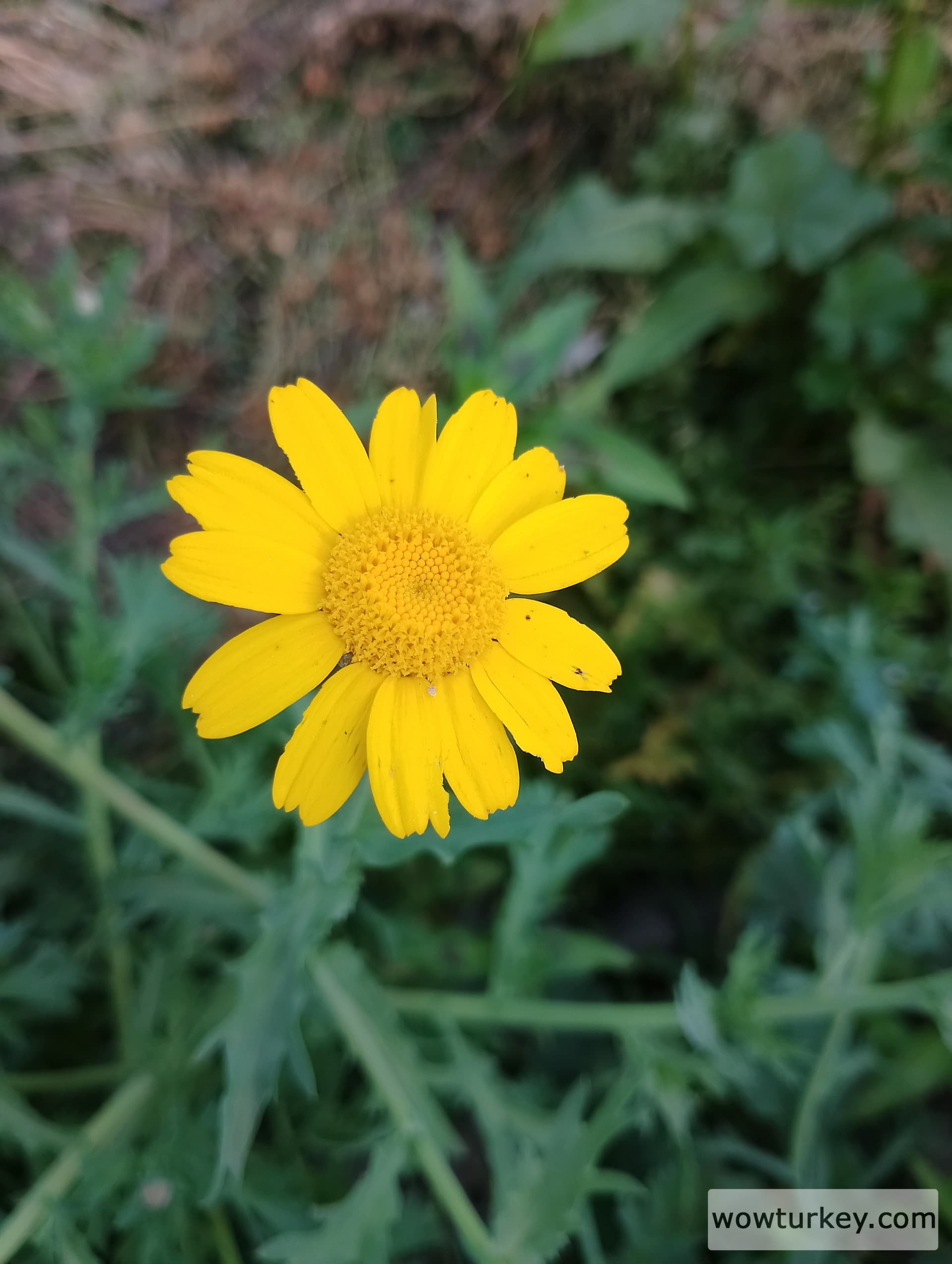 IMG_20240403_163629_HDR