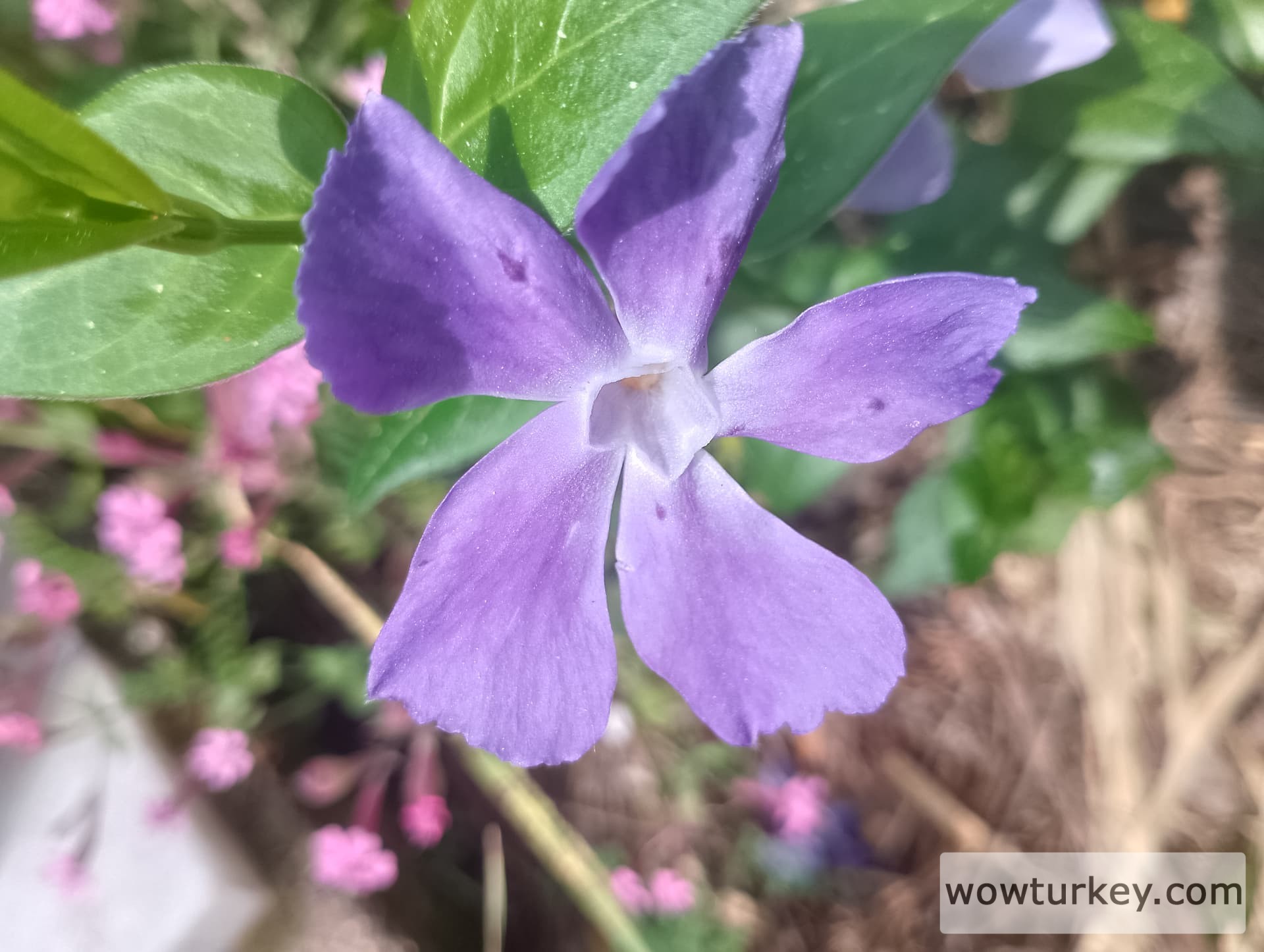 IMG_20240407_112507_HDR