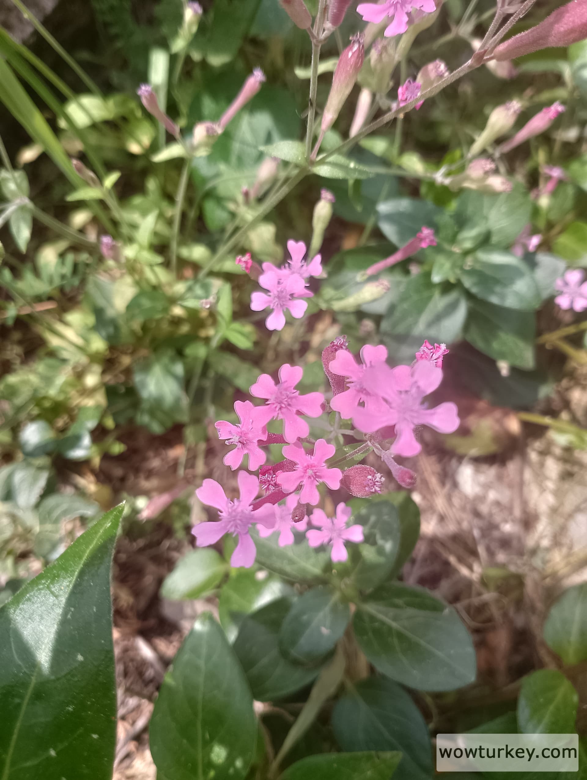 IMG_20240407_112515_HDR