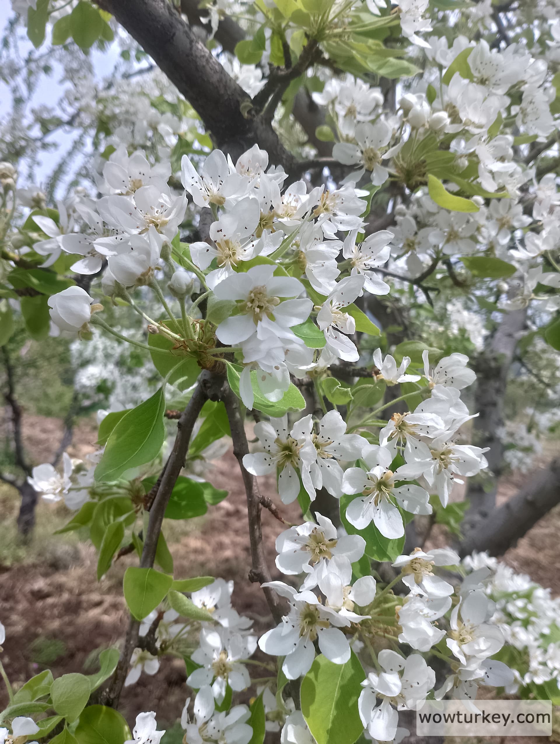 IMG_20240407_113750_HDR