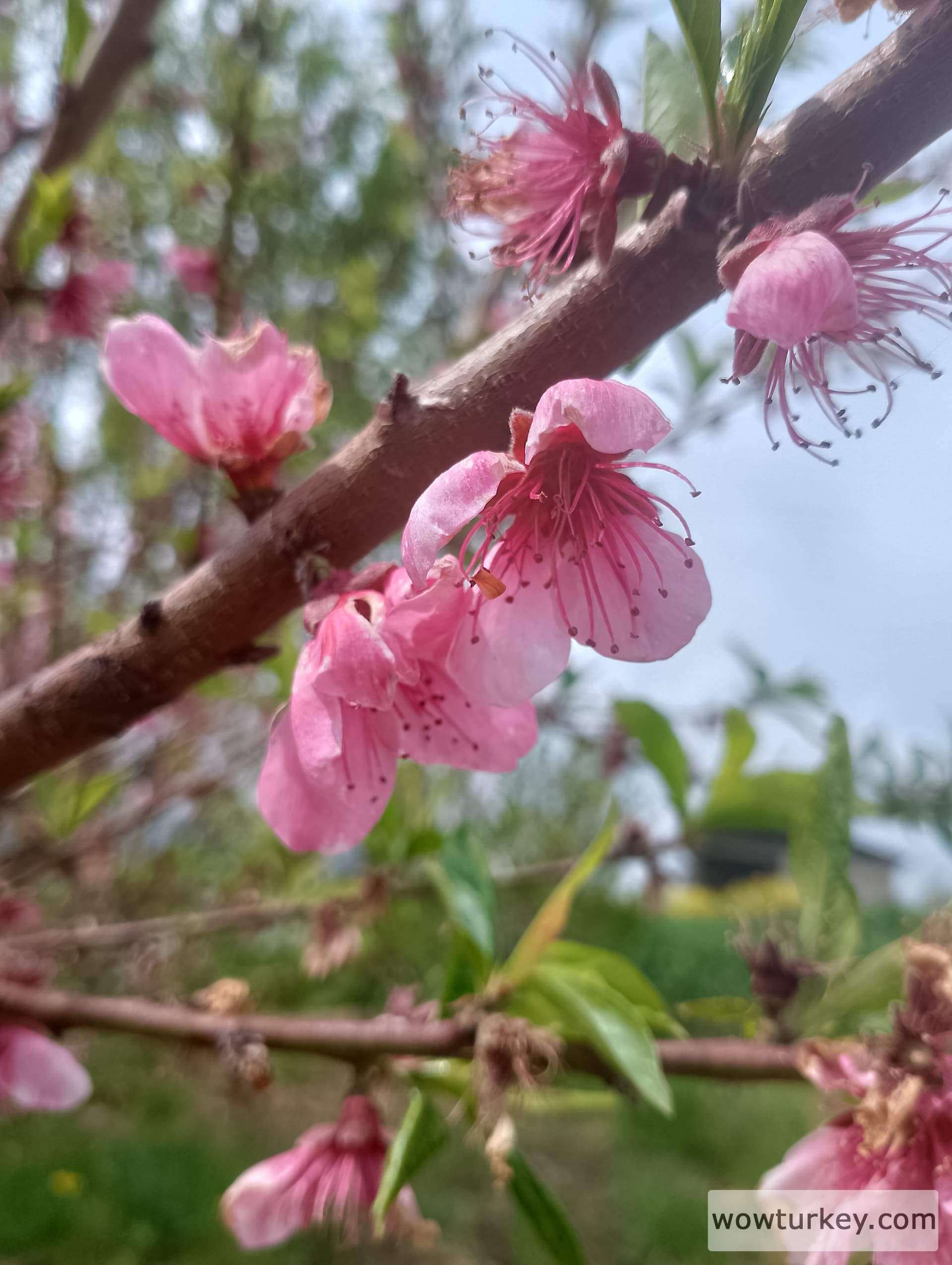 IMG_20240407_114004_HDR