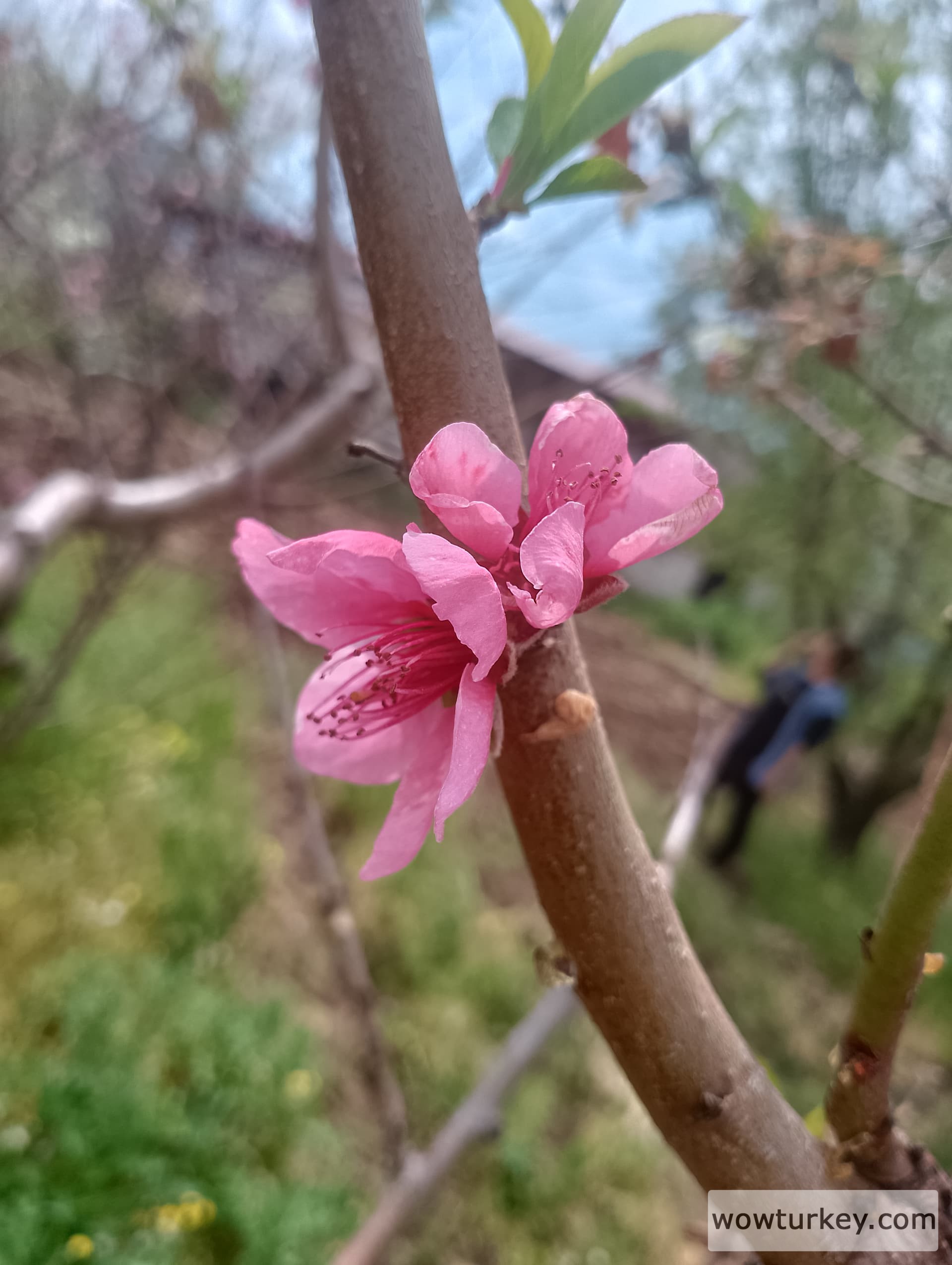 IMG_20240407_114018_HDR