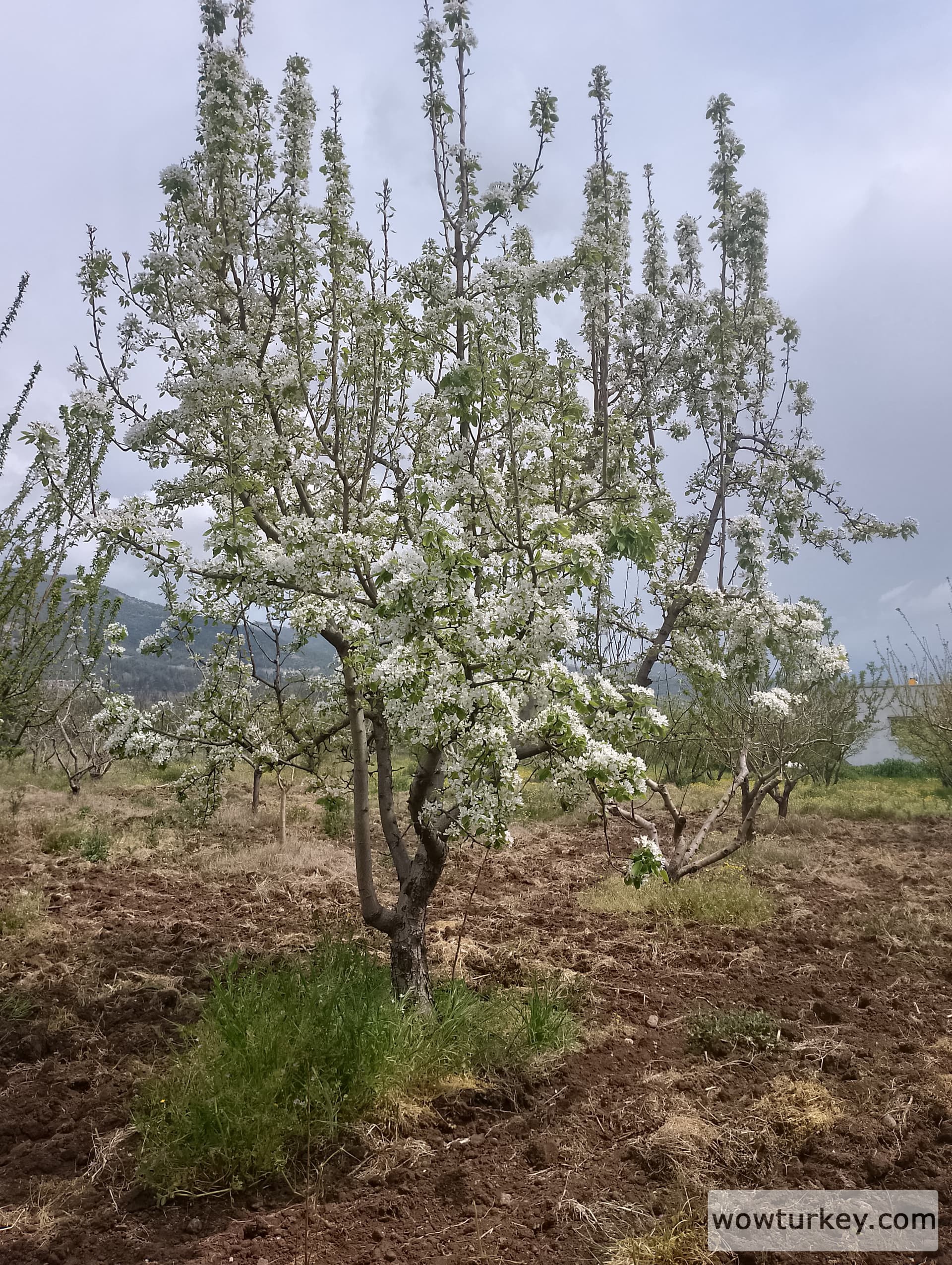 IMG_20240407_114351_HDR