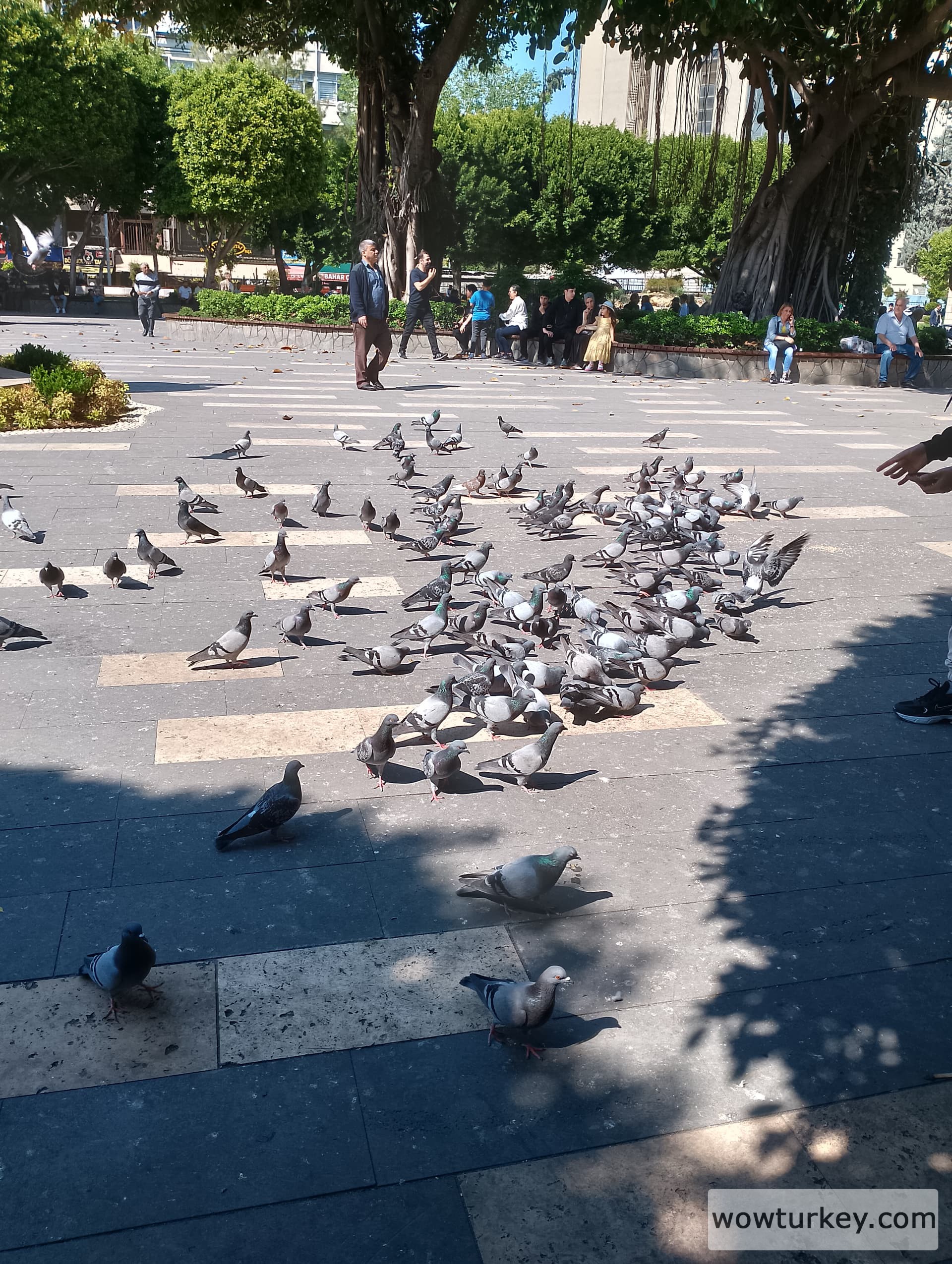 IMG_20240411_144846_HDR