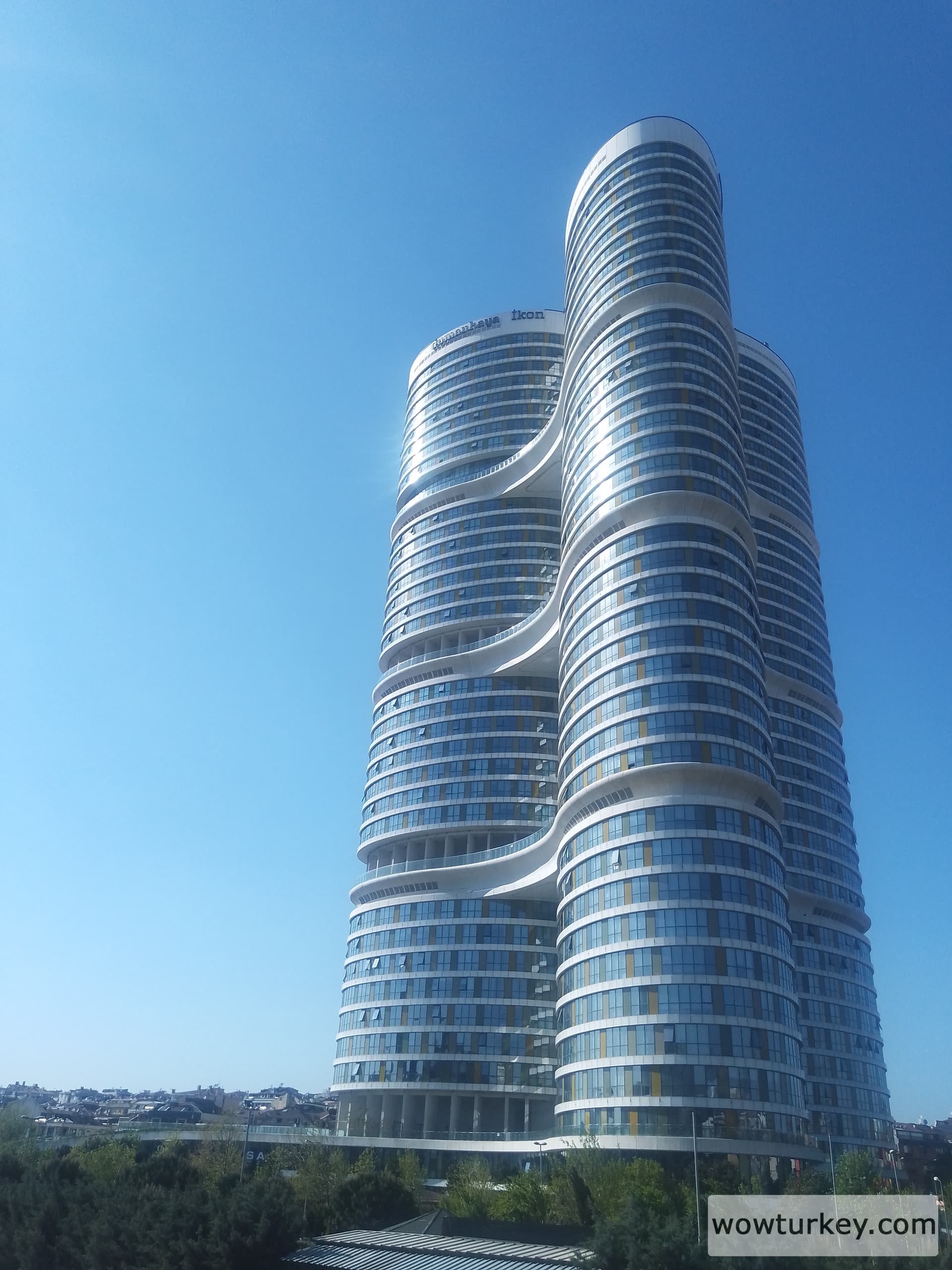 IMG_20240411_160829_008