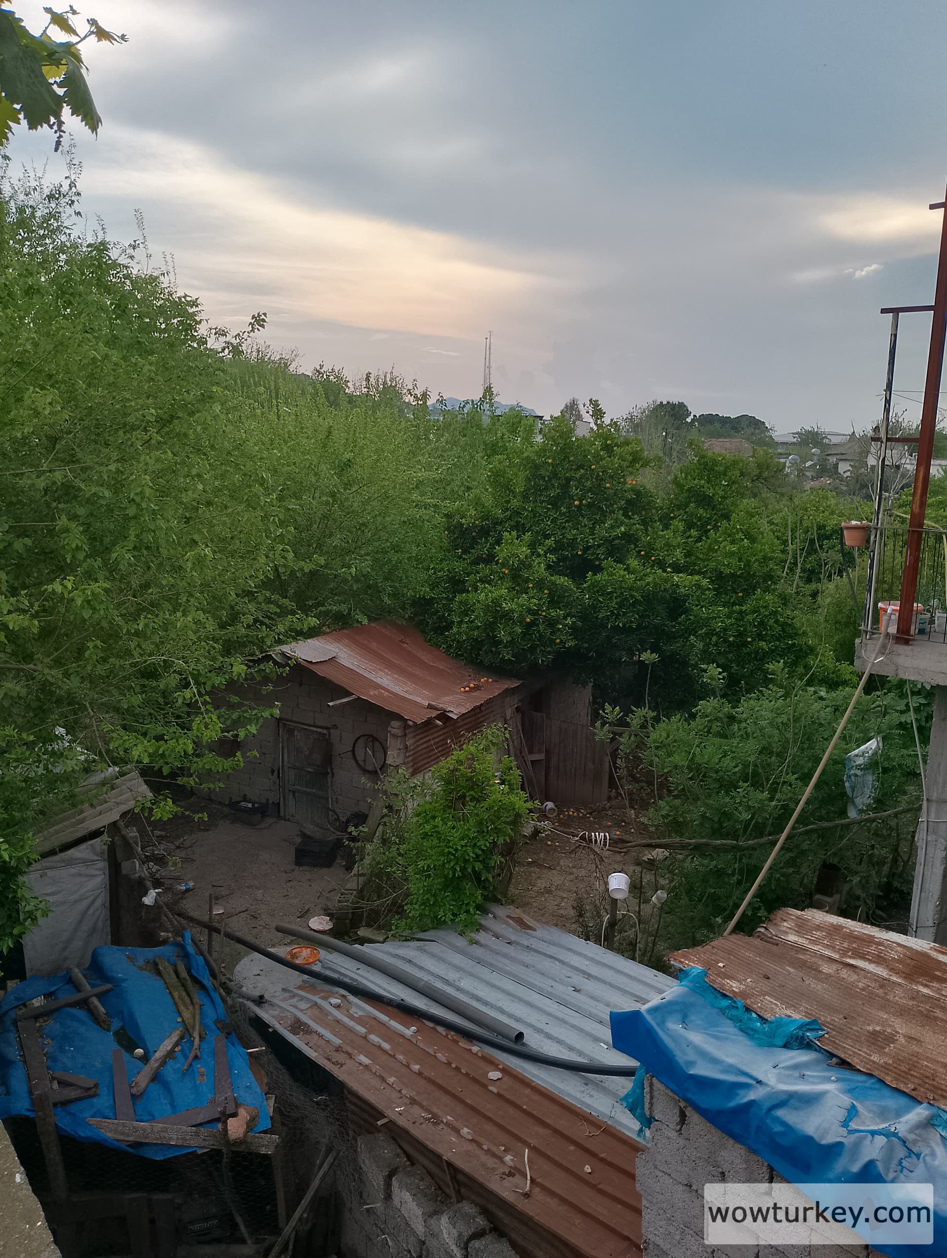 IMG_20240412_170115_HDR