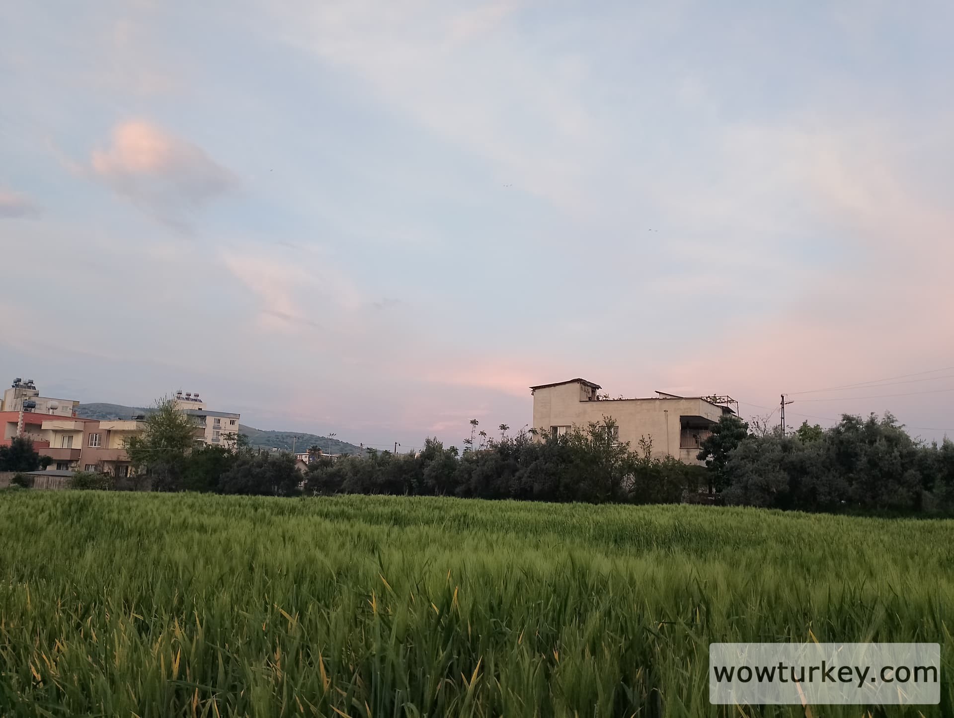 IMG_20240412_185724_HDR