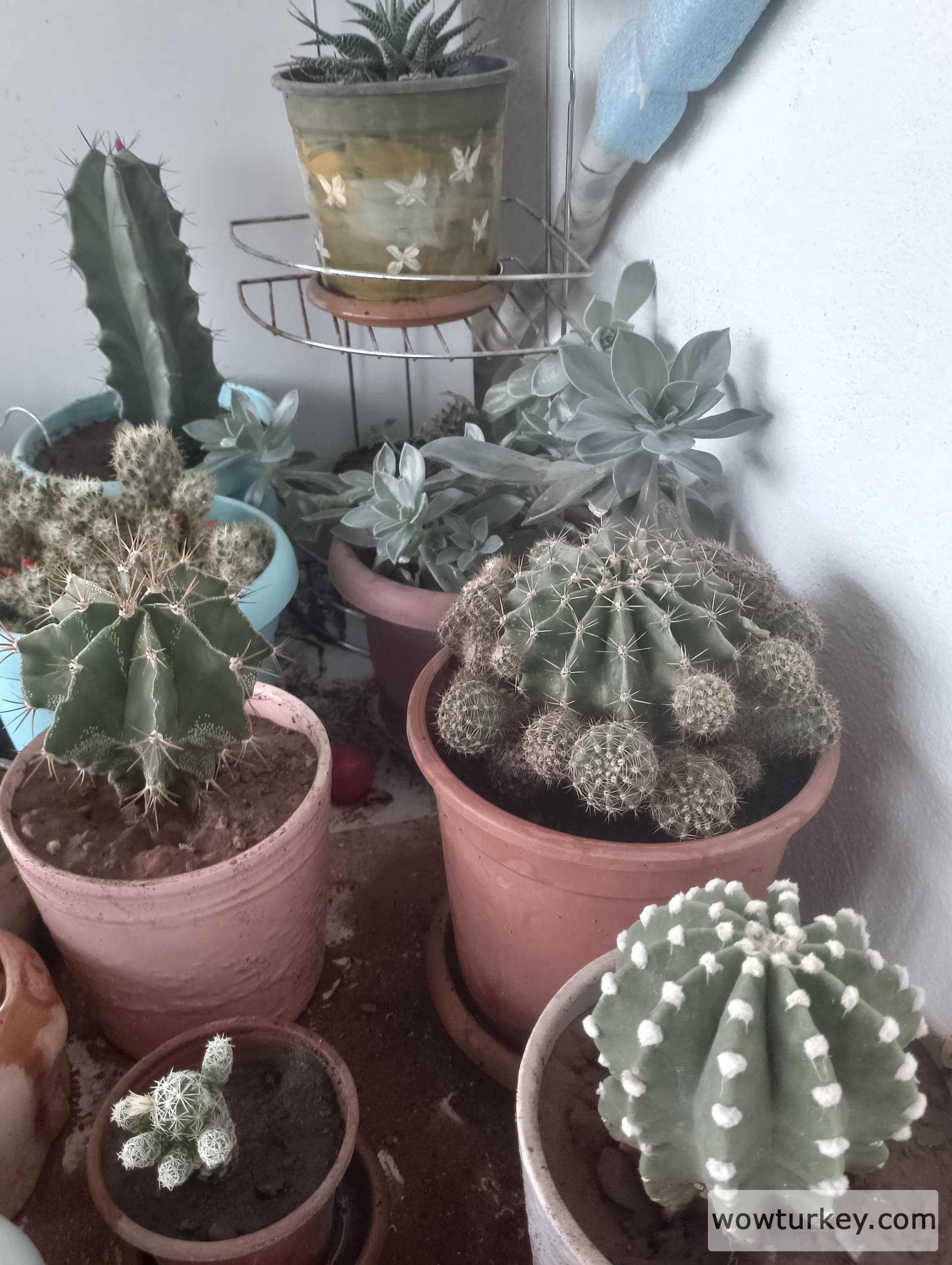 IMG_20240420_155618_HDR