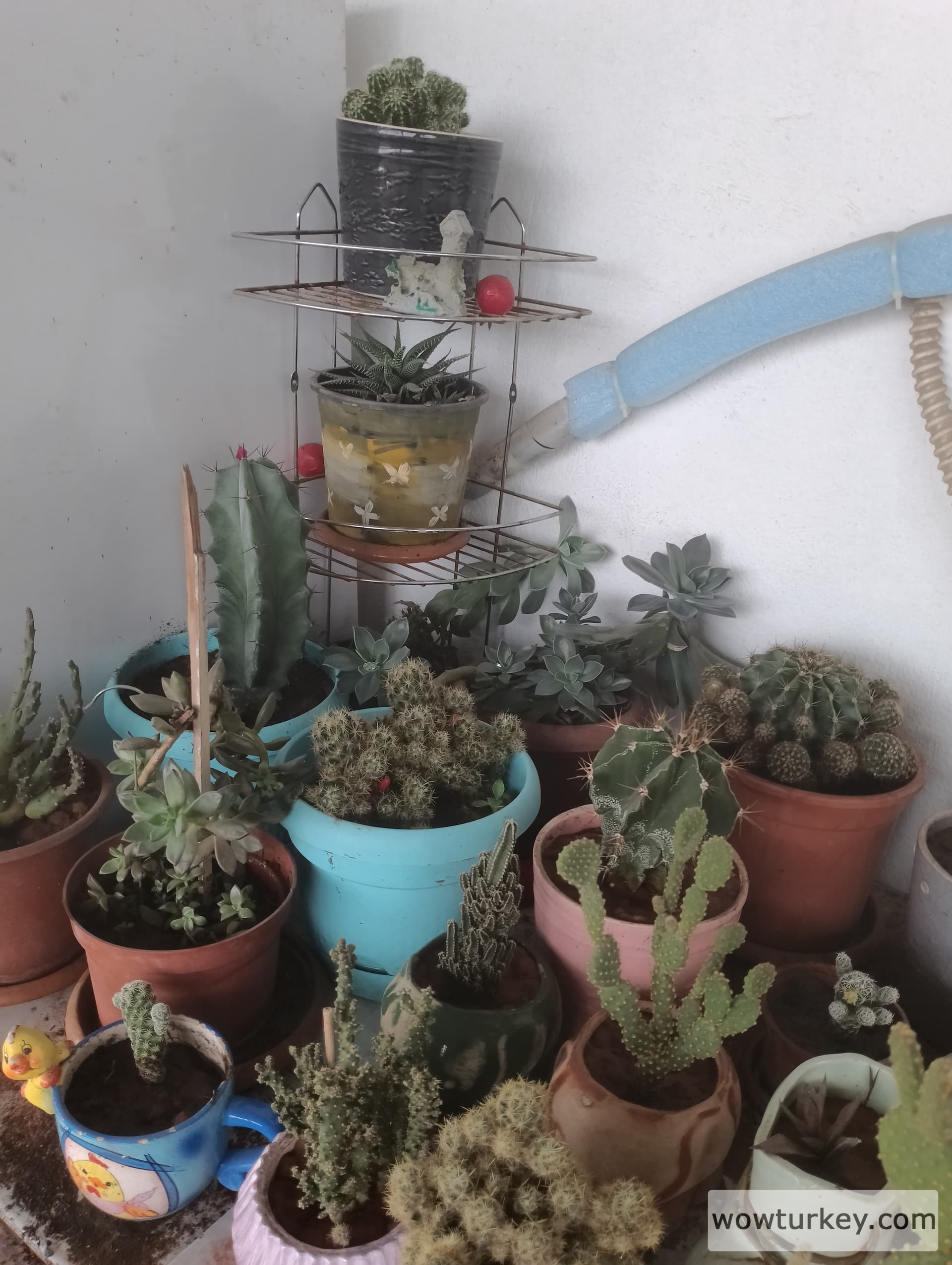 IMG_20240420_155630_HDR