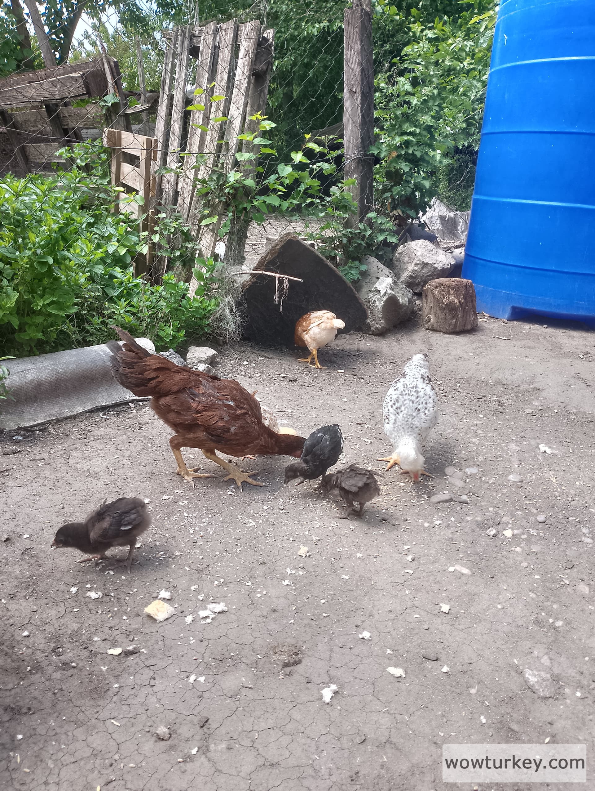 IMG_20240421_120610_HDR