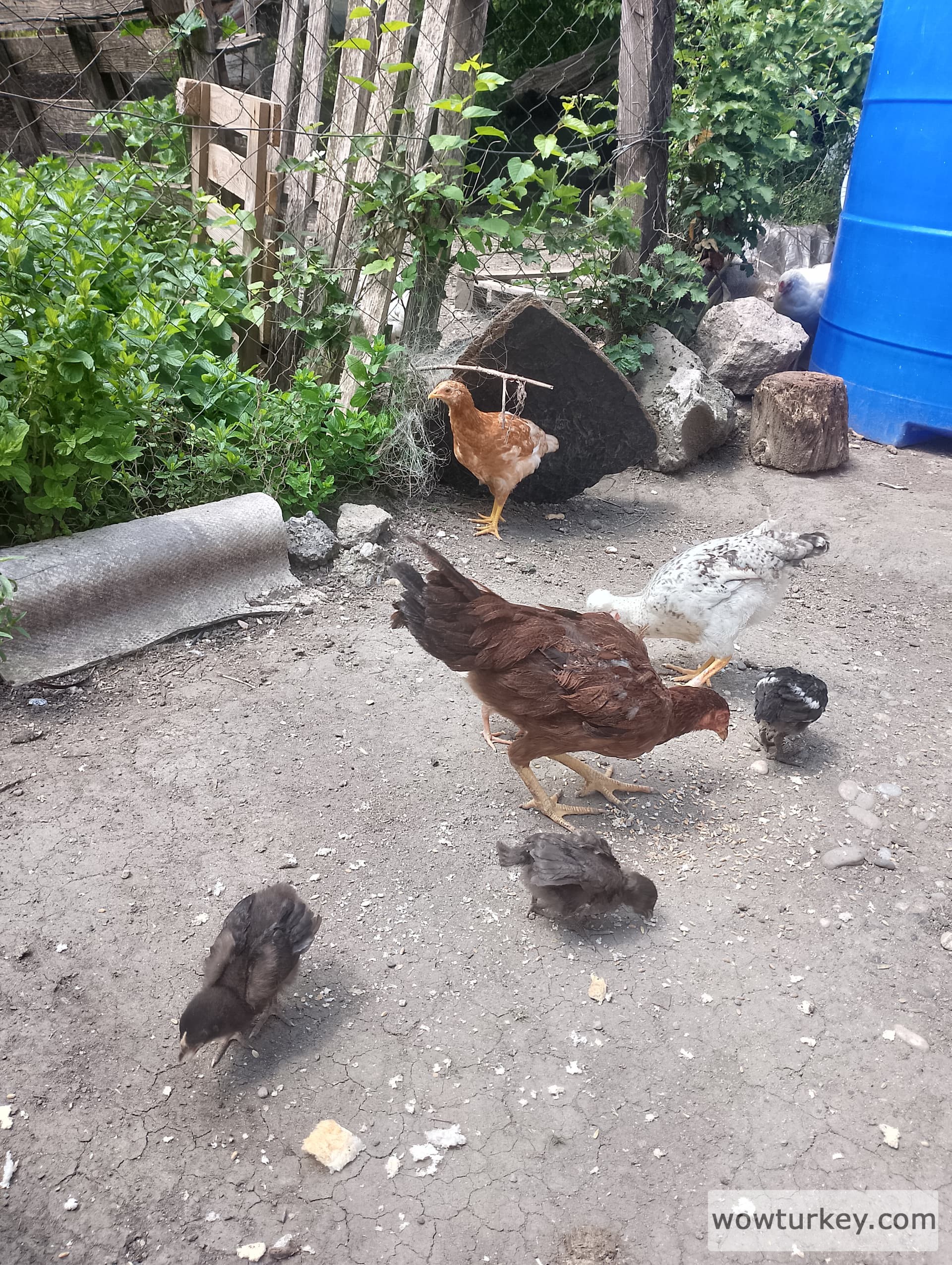 IMG_20240421_120621_HDR