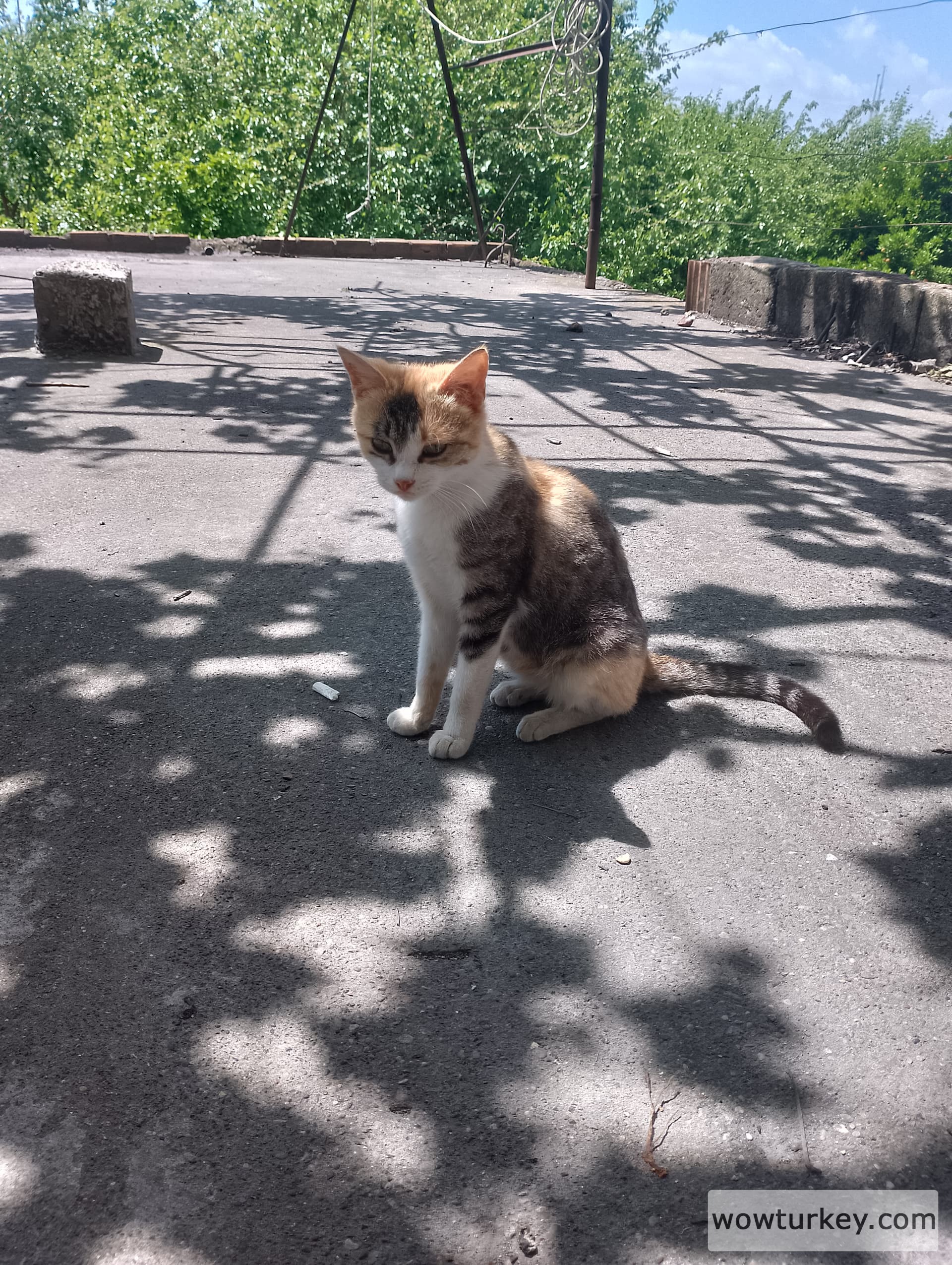 IMG_20240421_122654_HDR