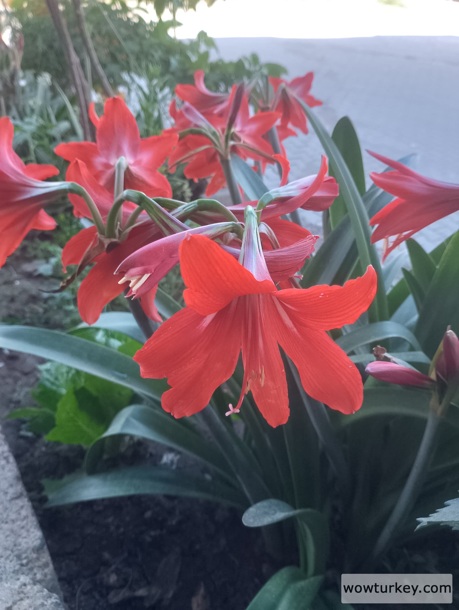 IMG_20240421_160638_HDR