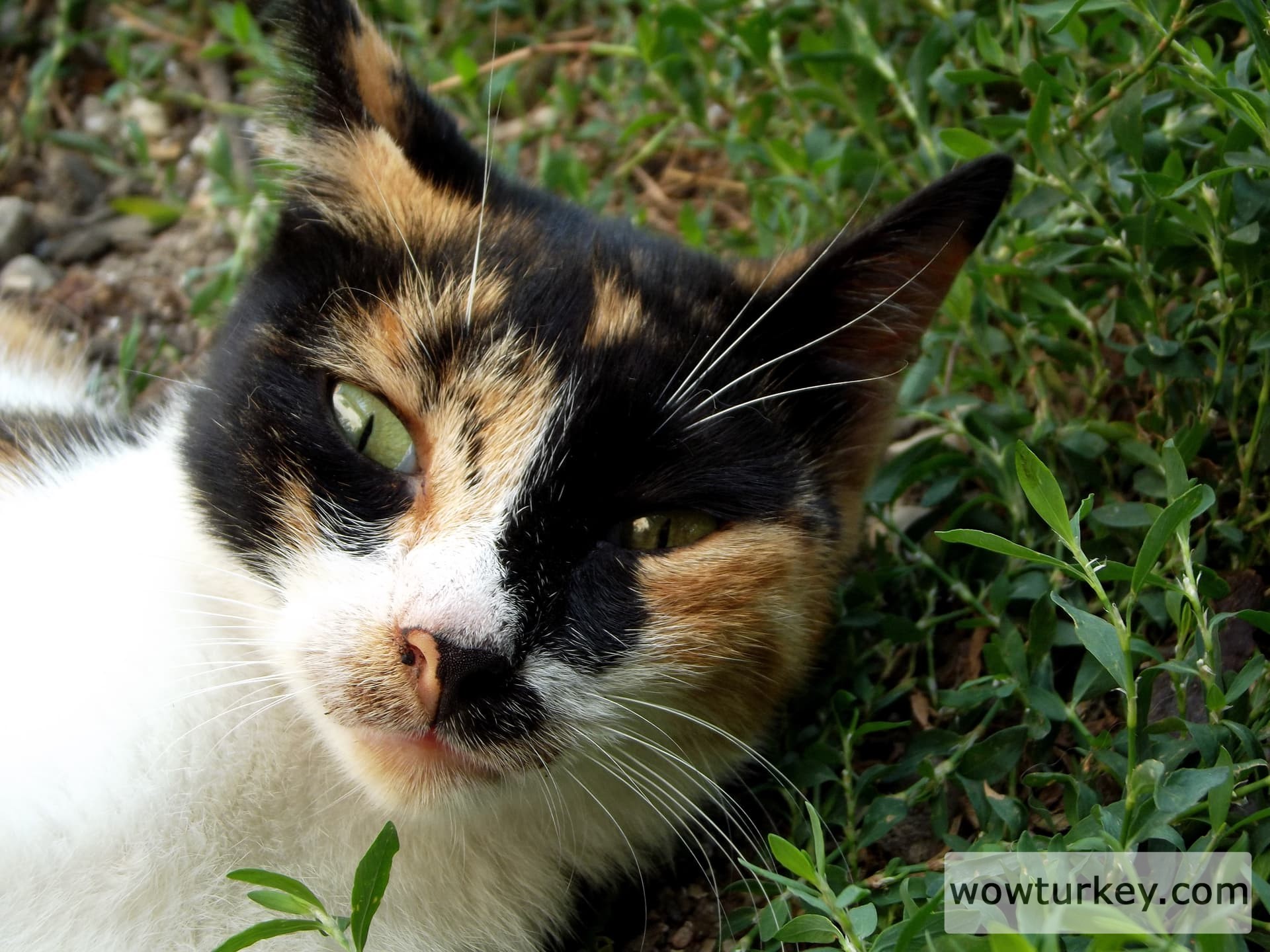 IMG_20240422_114100_283